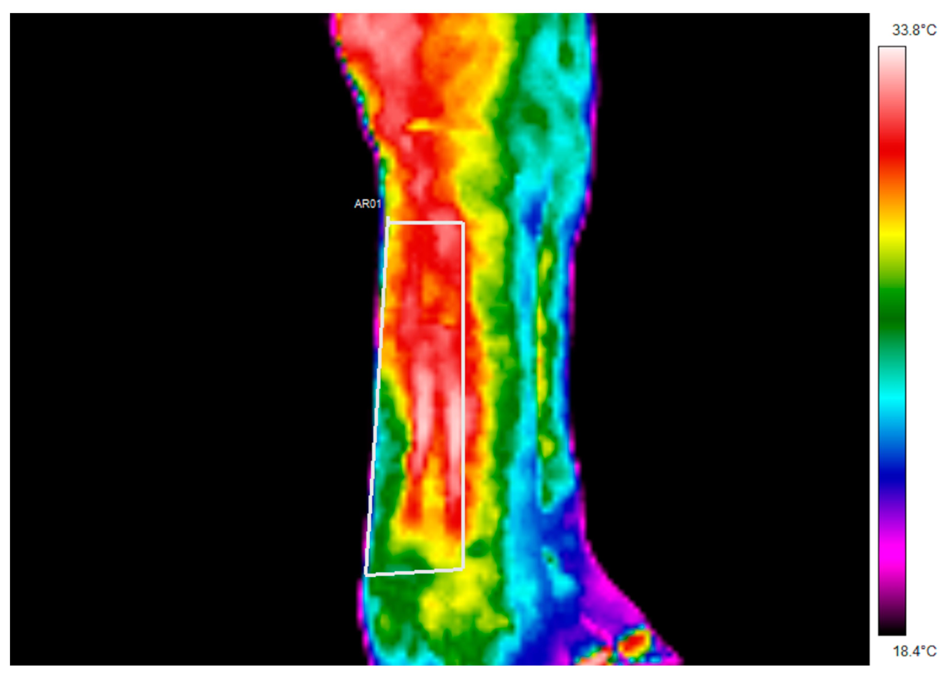 Animals 11 02629 g001