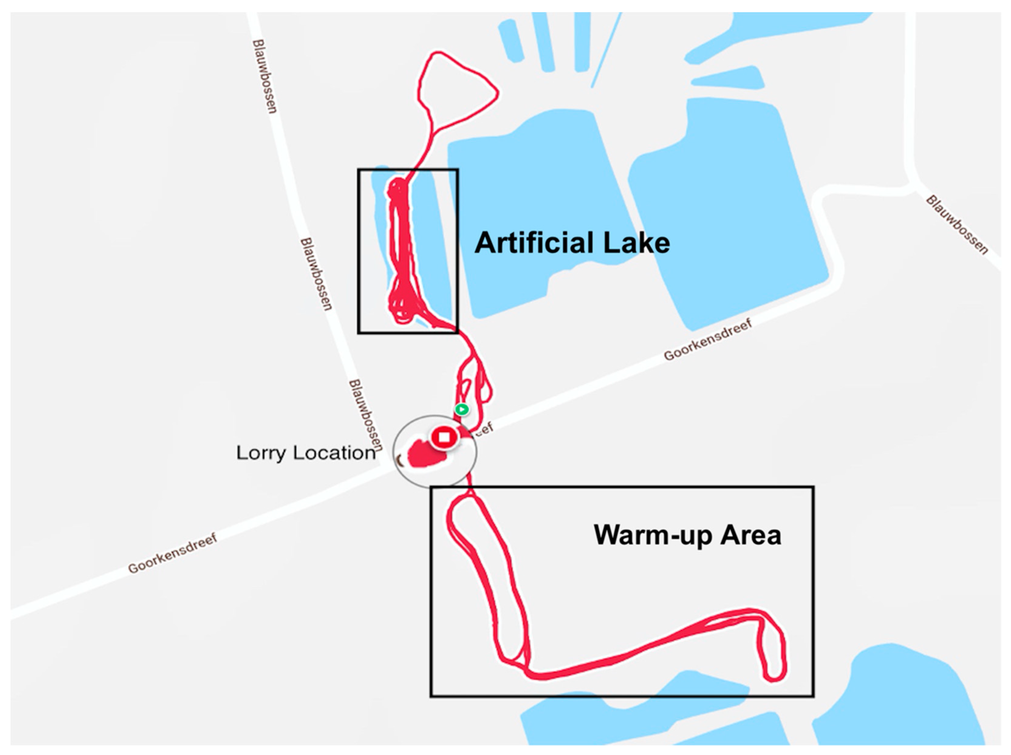 Animals 11 02629 g002