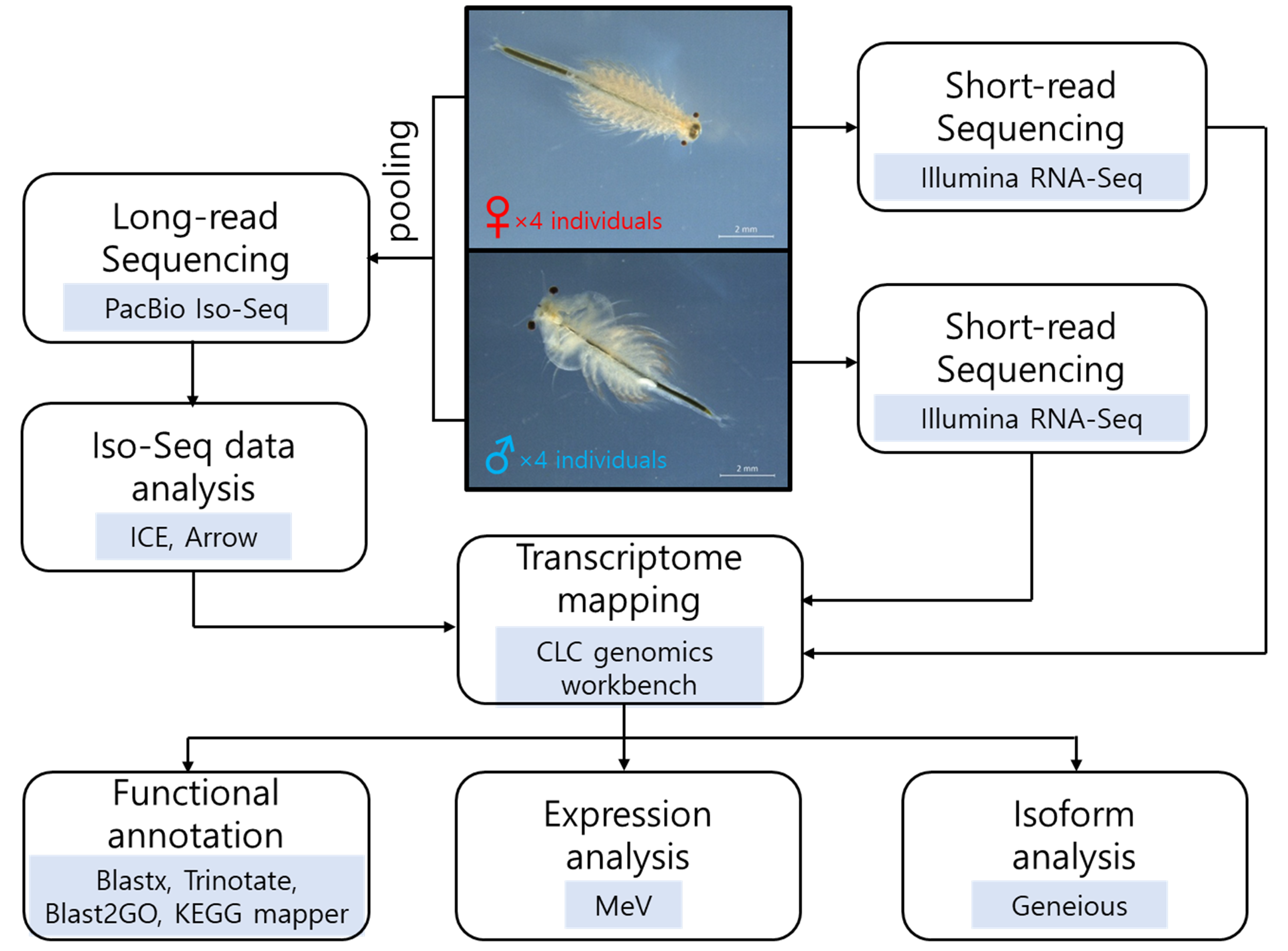 Animals 11 02630 g001