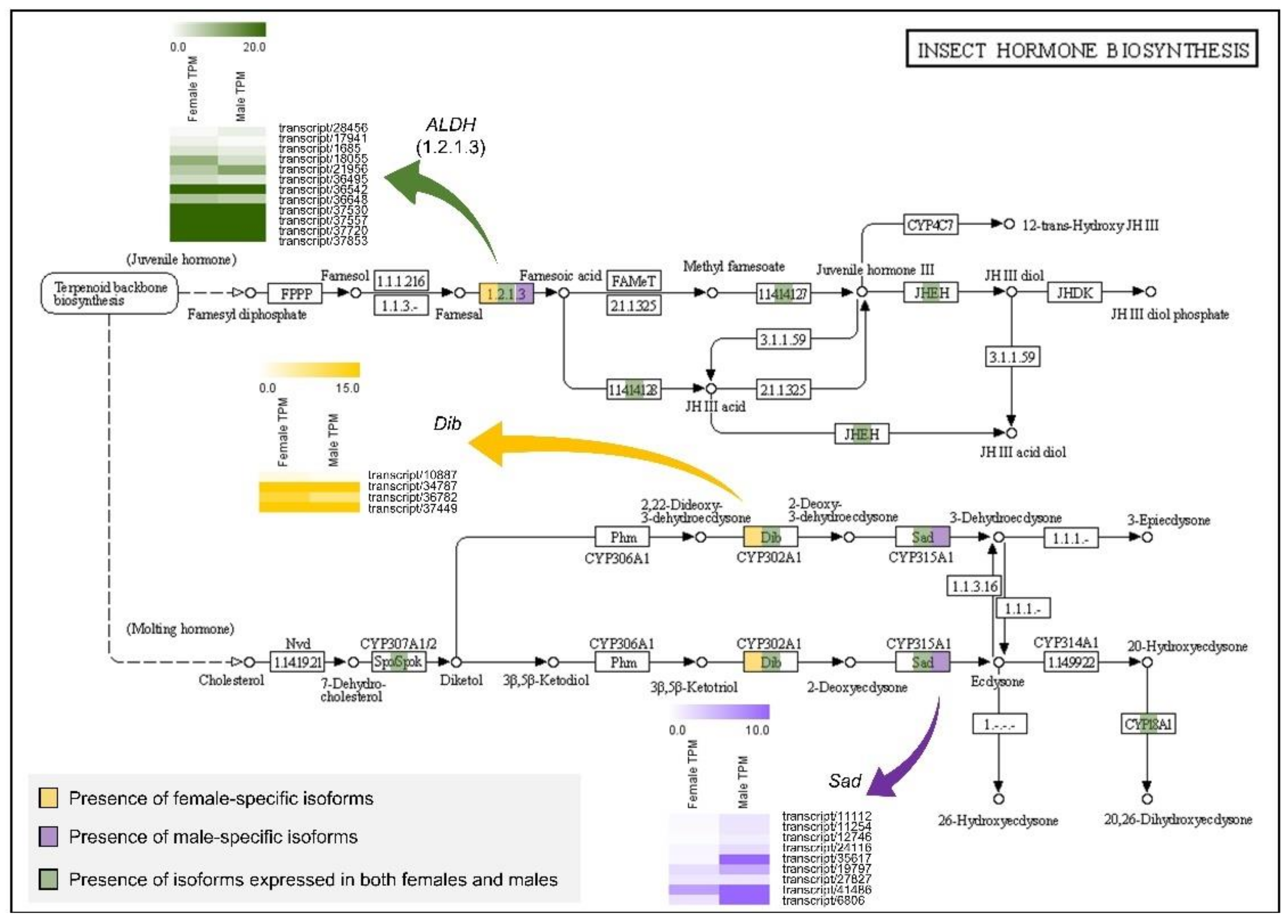 Animals 11 02630 g005