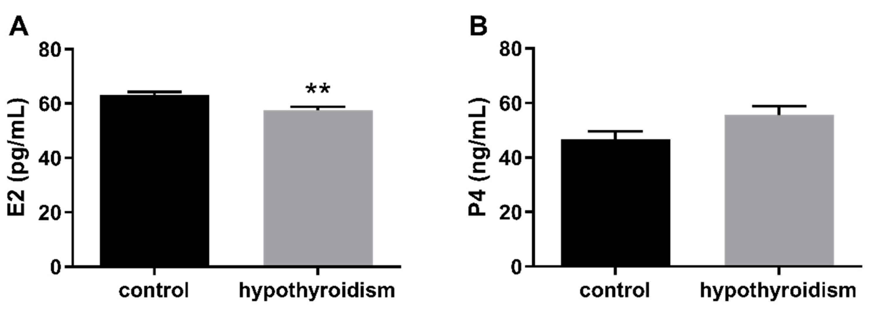 Animals 11 02636 g002