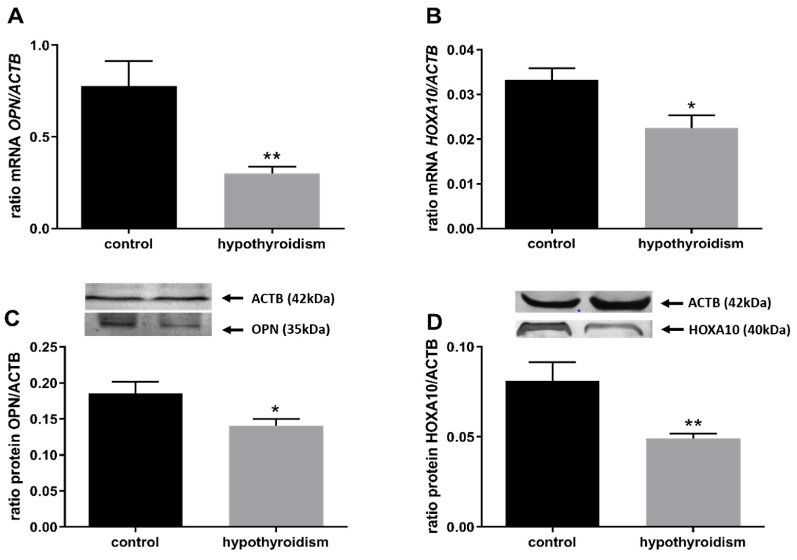 Animals 11 02636 g003