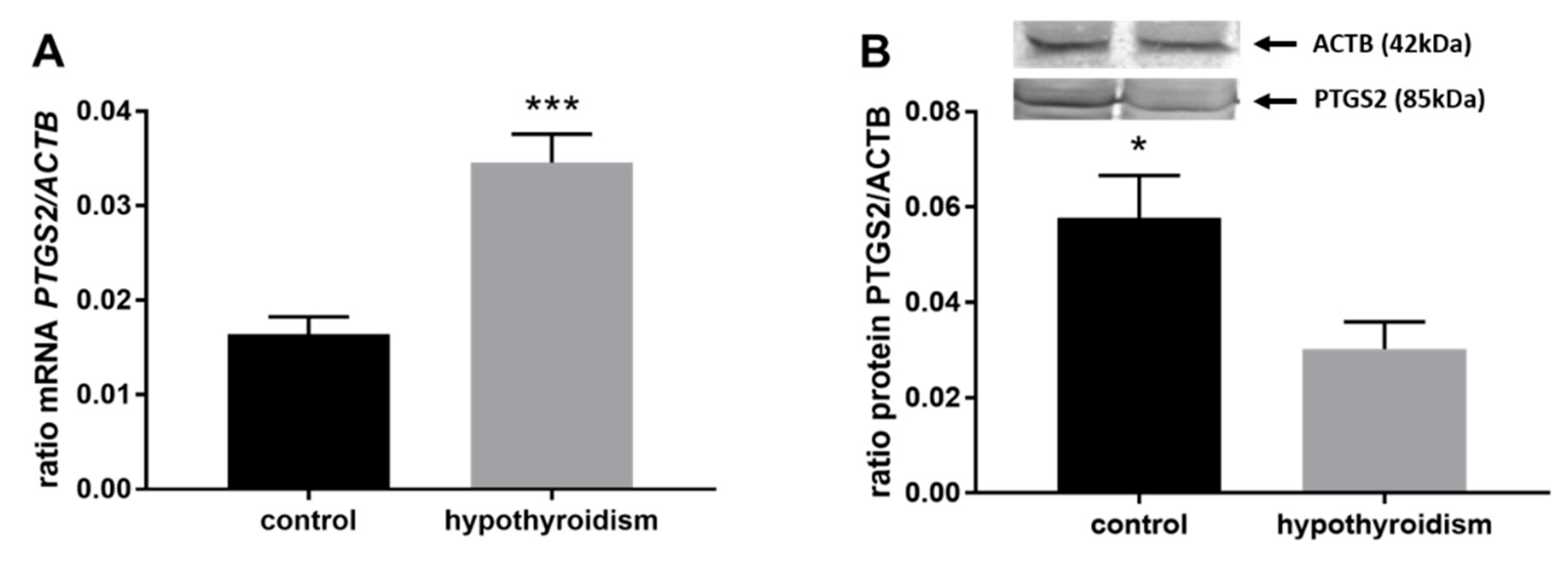 Animals 11 02636 g004