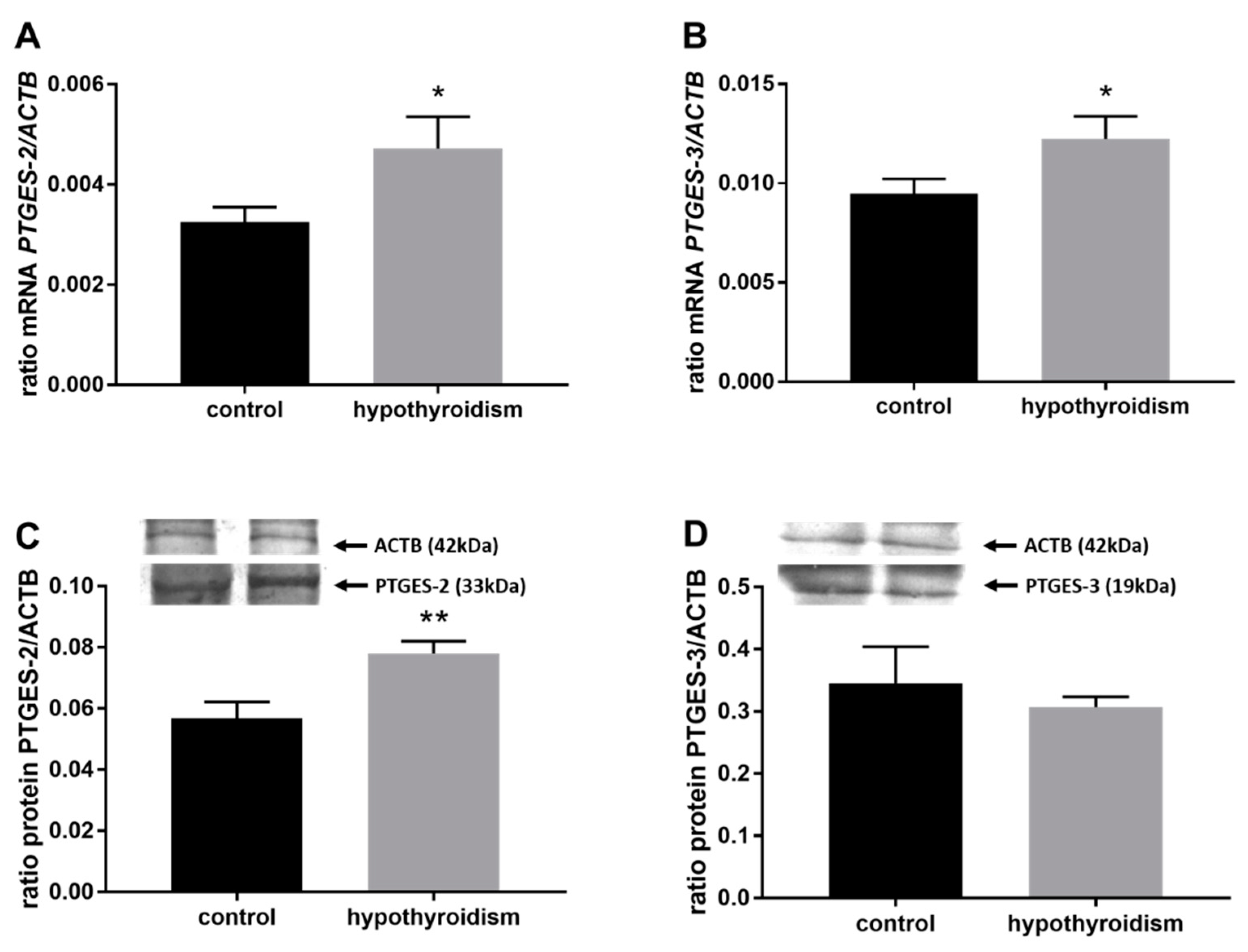 Animals 11 02636 g005