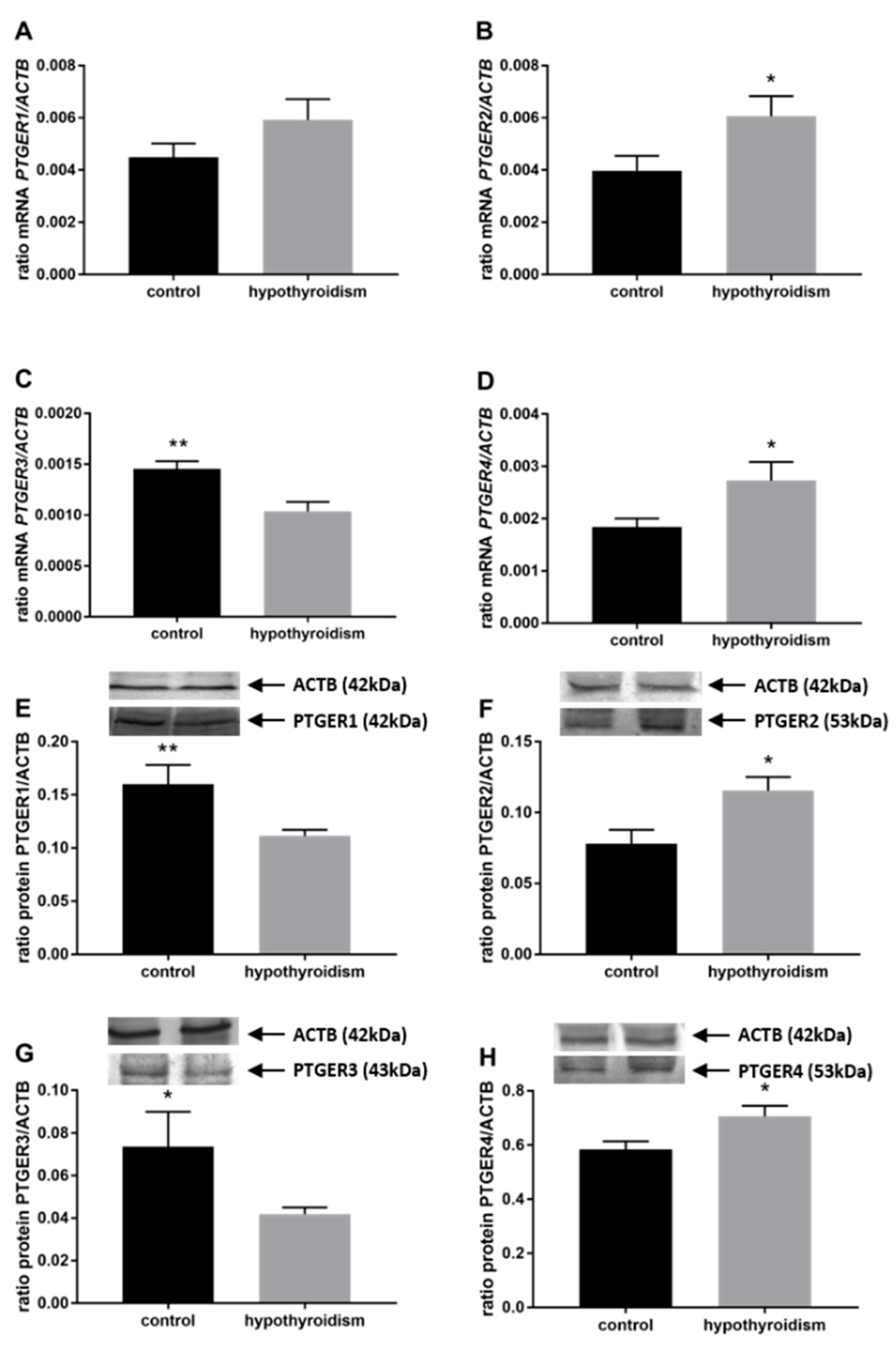 Animals 11 02636 g006
