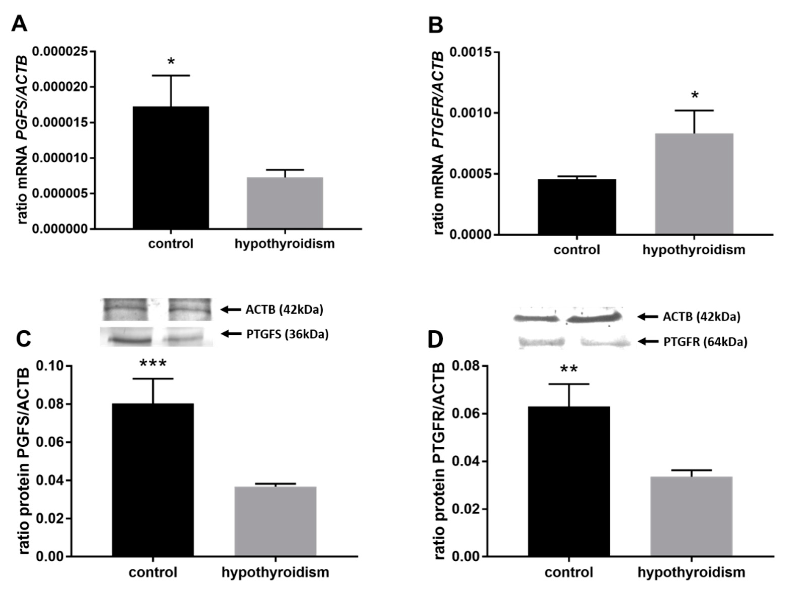 Animals 11 02636 g007