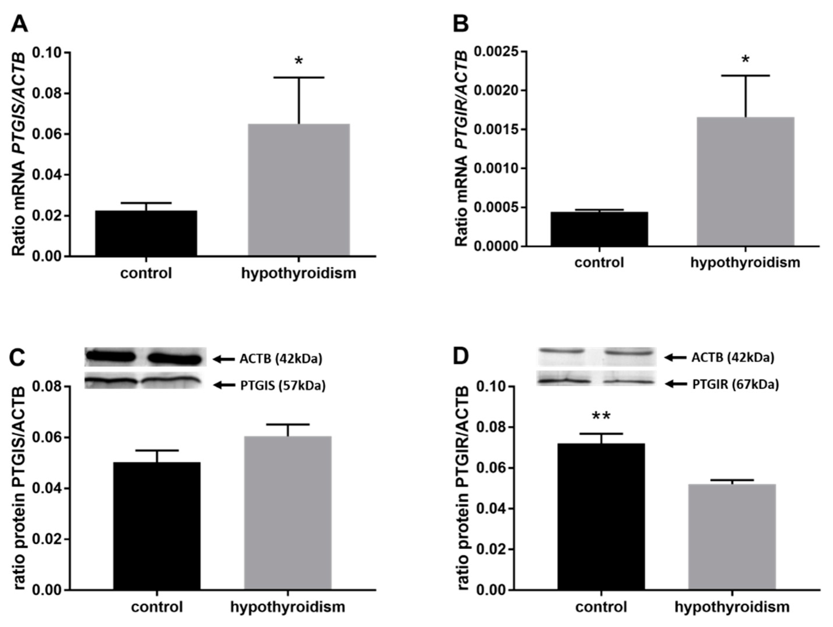 Animals 11 02636 g008