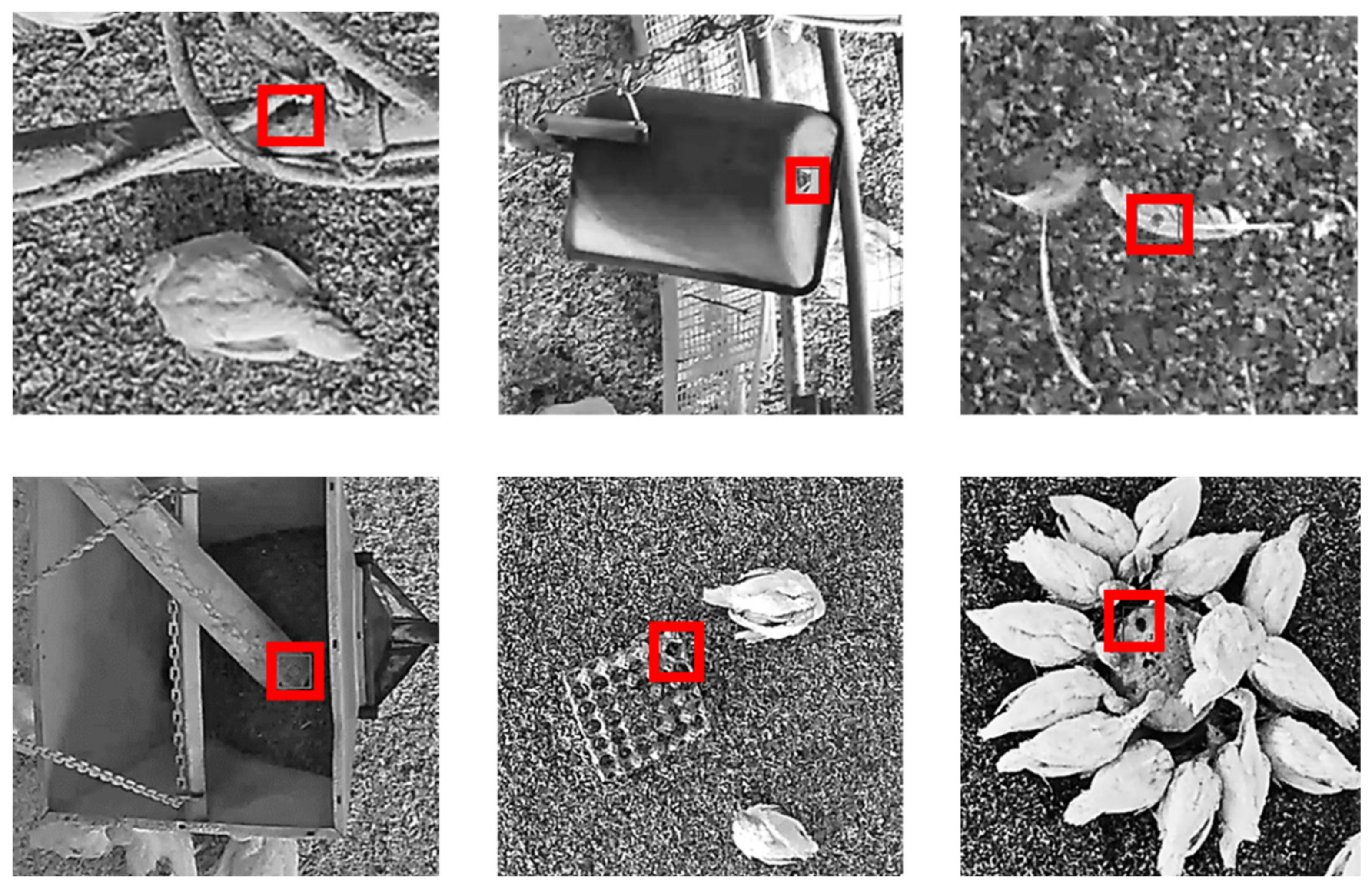 Animals 11 02655 g002