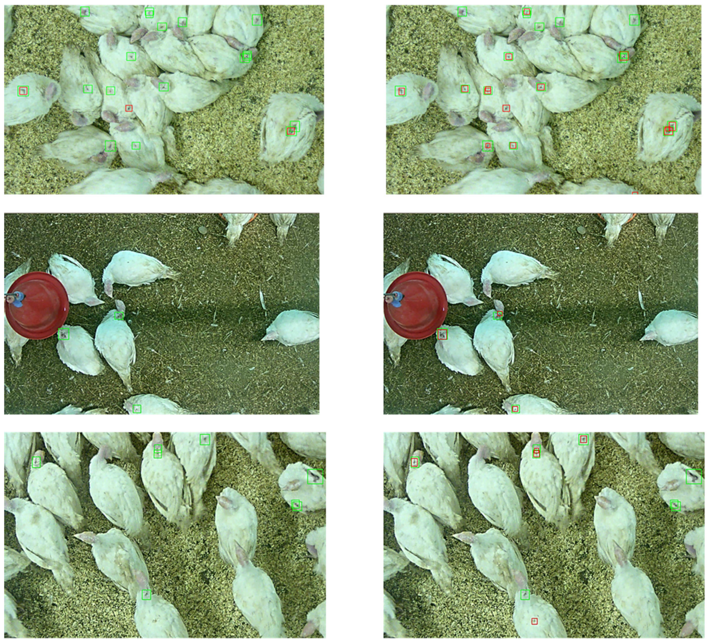 Animals 11 02655 g004