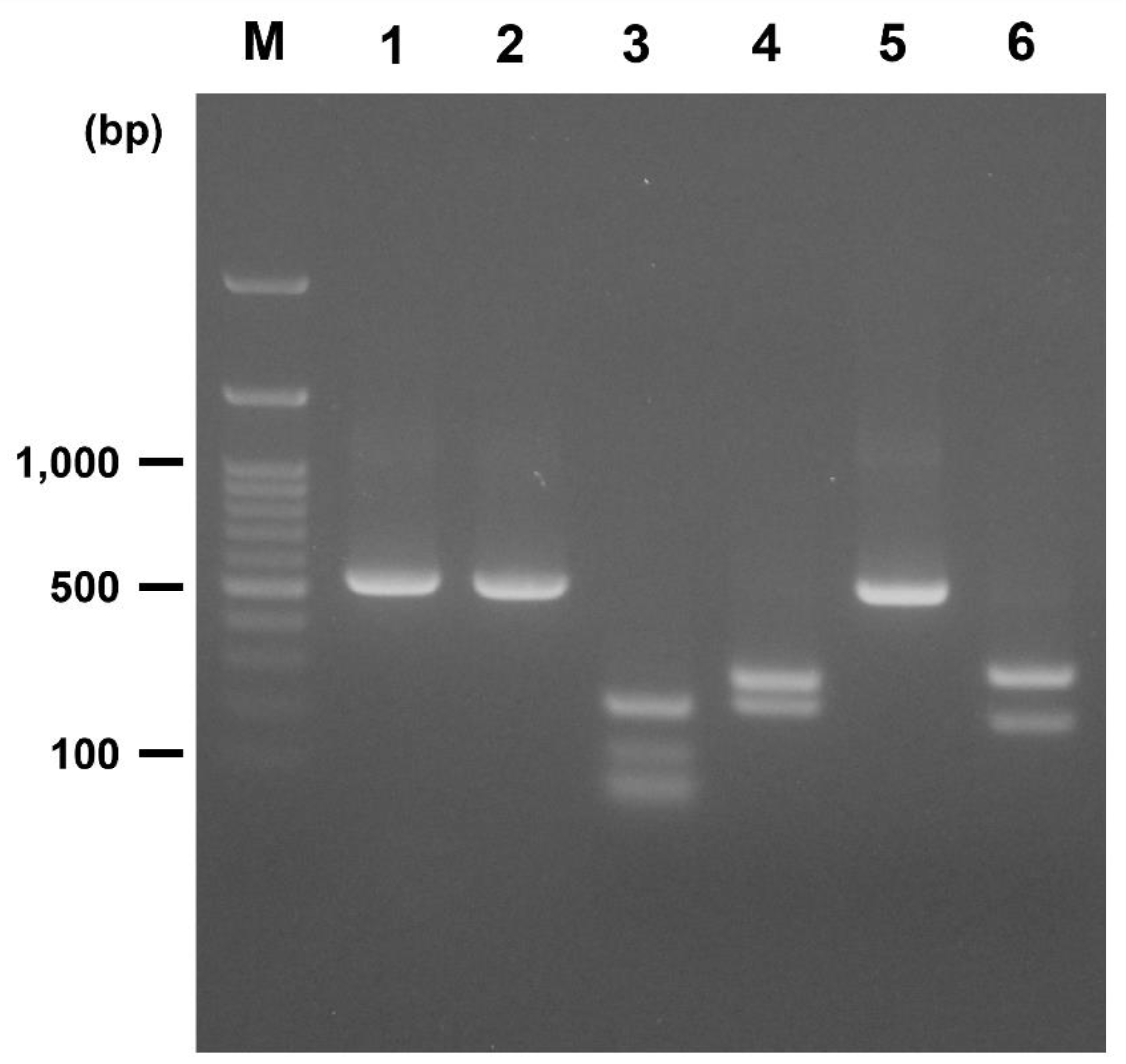 Animals 11 02659 g002