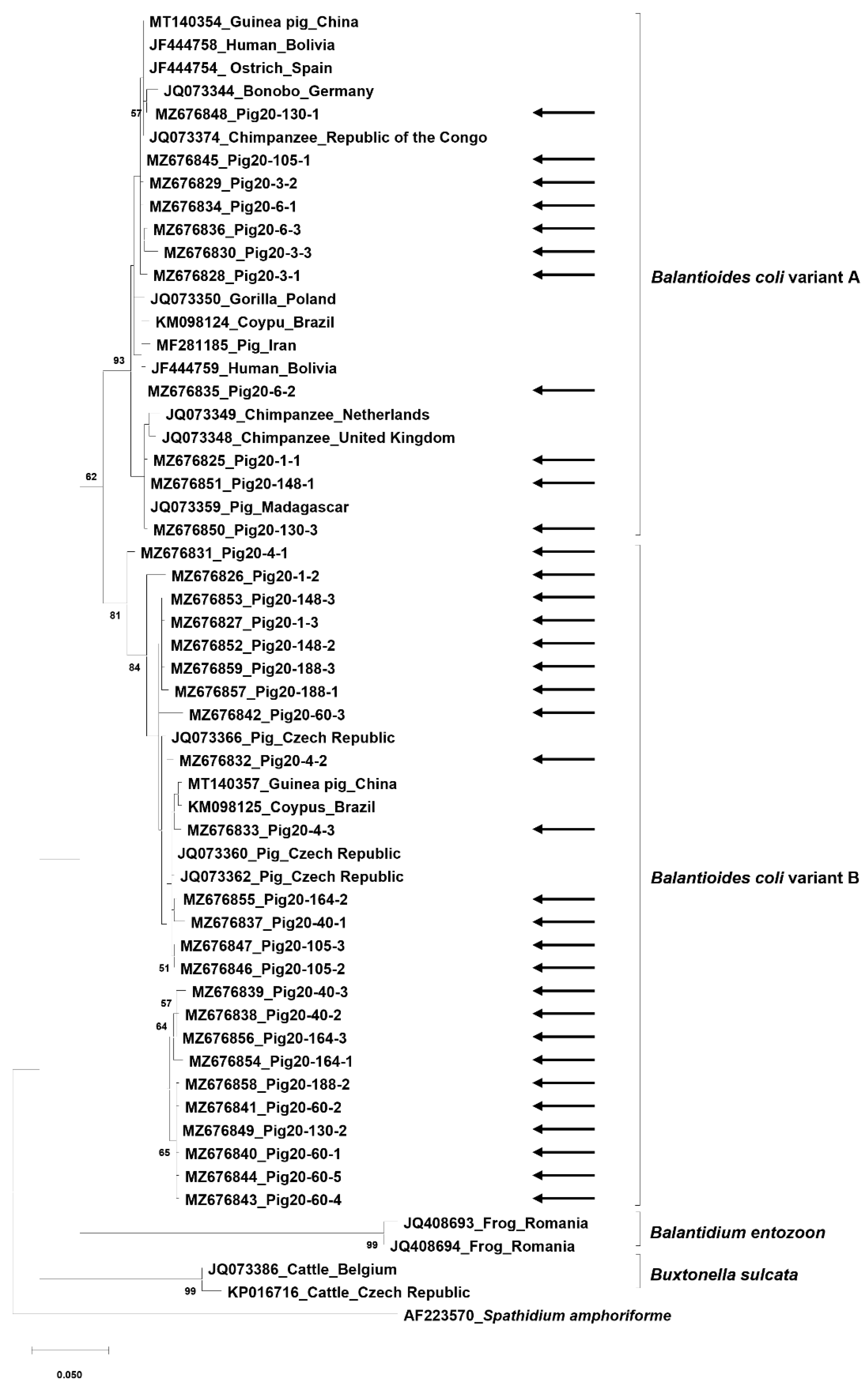 Animals 11 02659 g003