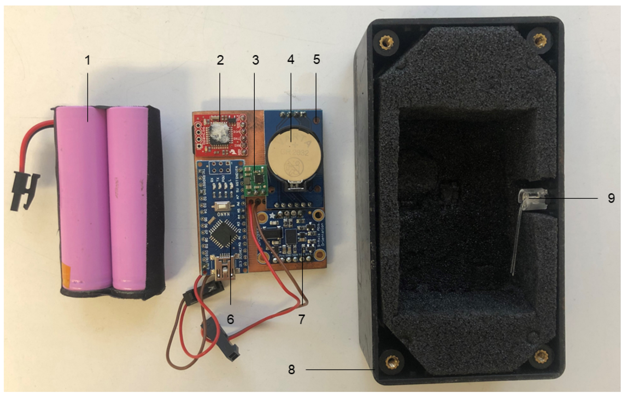 Animals 11 02660 g001