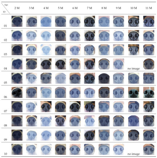 Animals 11 02664 g0a1 550