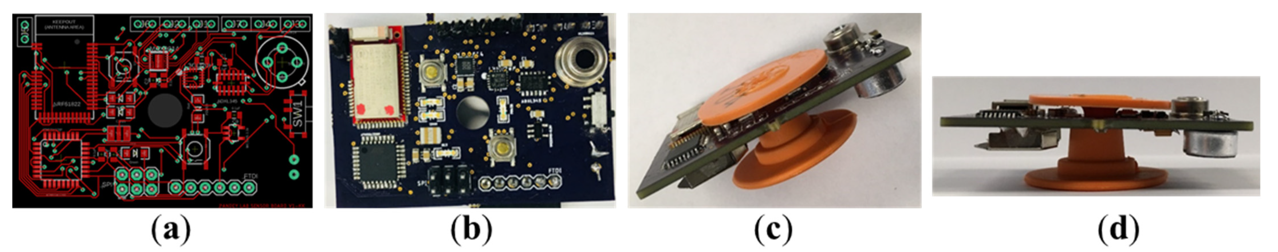 Animals 11 02665 g002