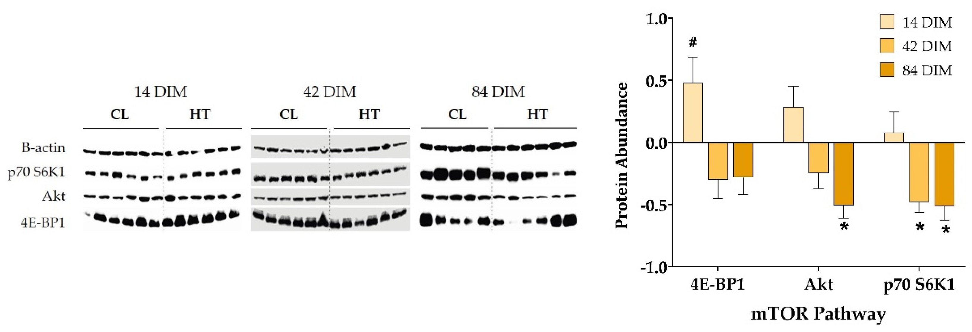 Animals 11 02676 g004