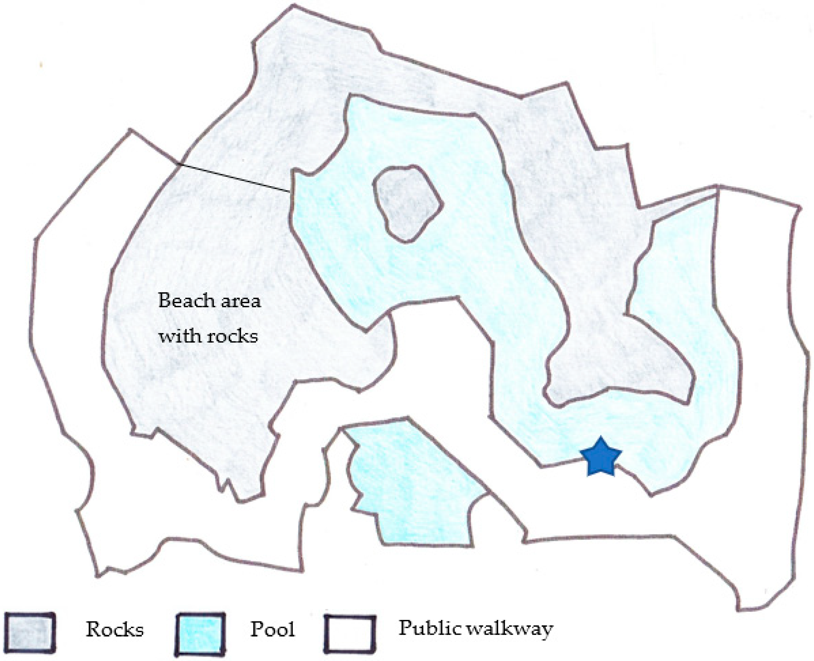 Animals 11 02682 g001