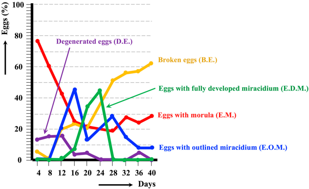Animals 11 02693 g003