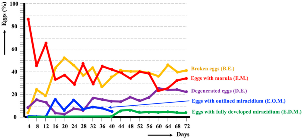 Animals 11 02693 g004