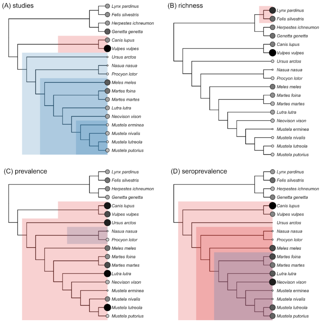 Animals 11 02708 g005 Animals 11 02708 g005