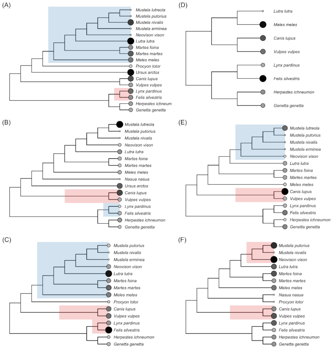 Animals 11 02708 g006 Animals 11 02708 g006