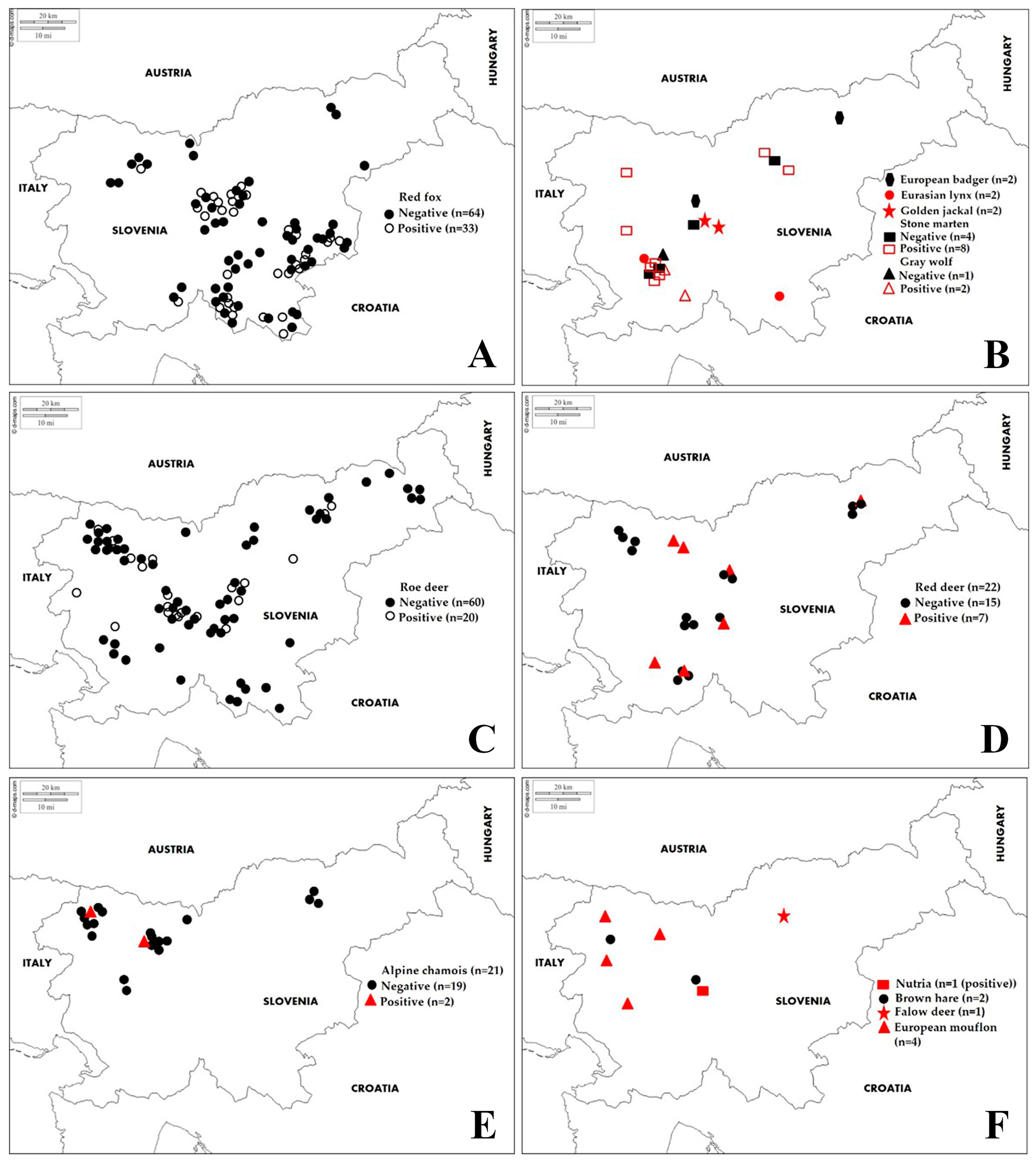 Animals 11 02722 g001 Animals 11 02722 g001