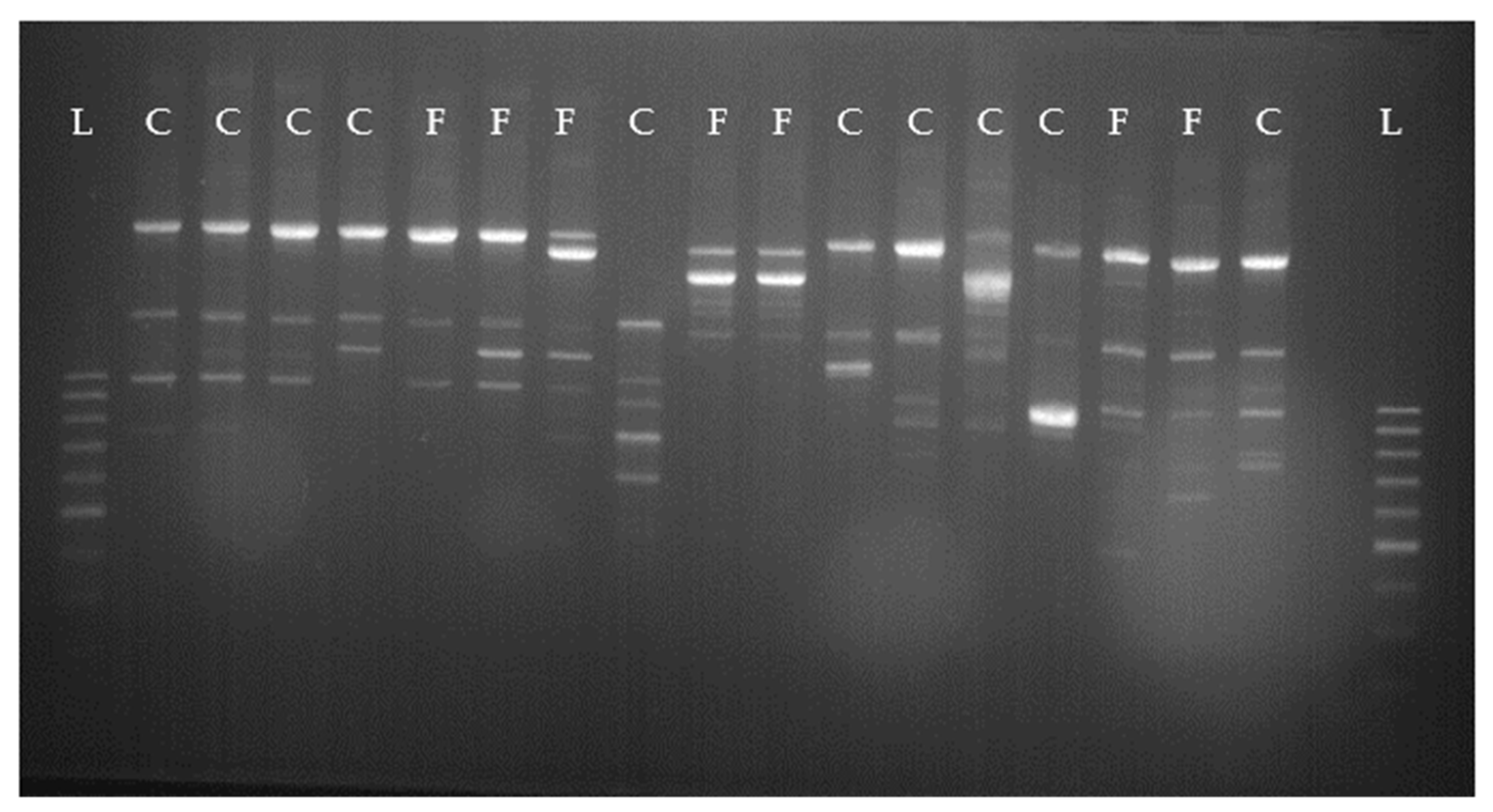 Animals 11 02738 g003