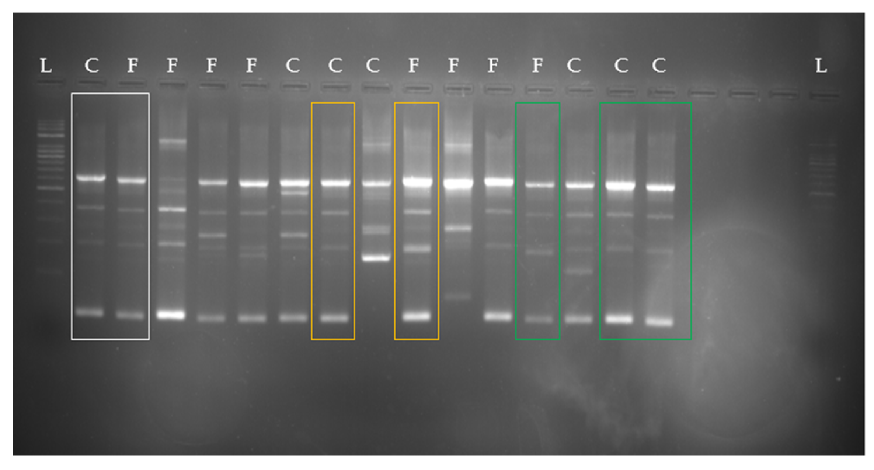 Animals 11 02738 g004