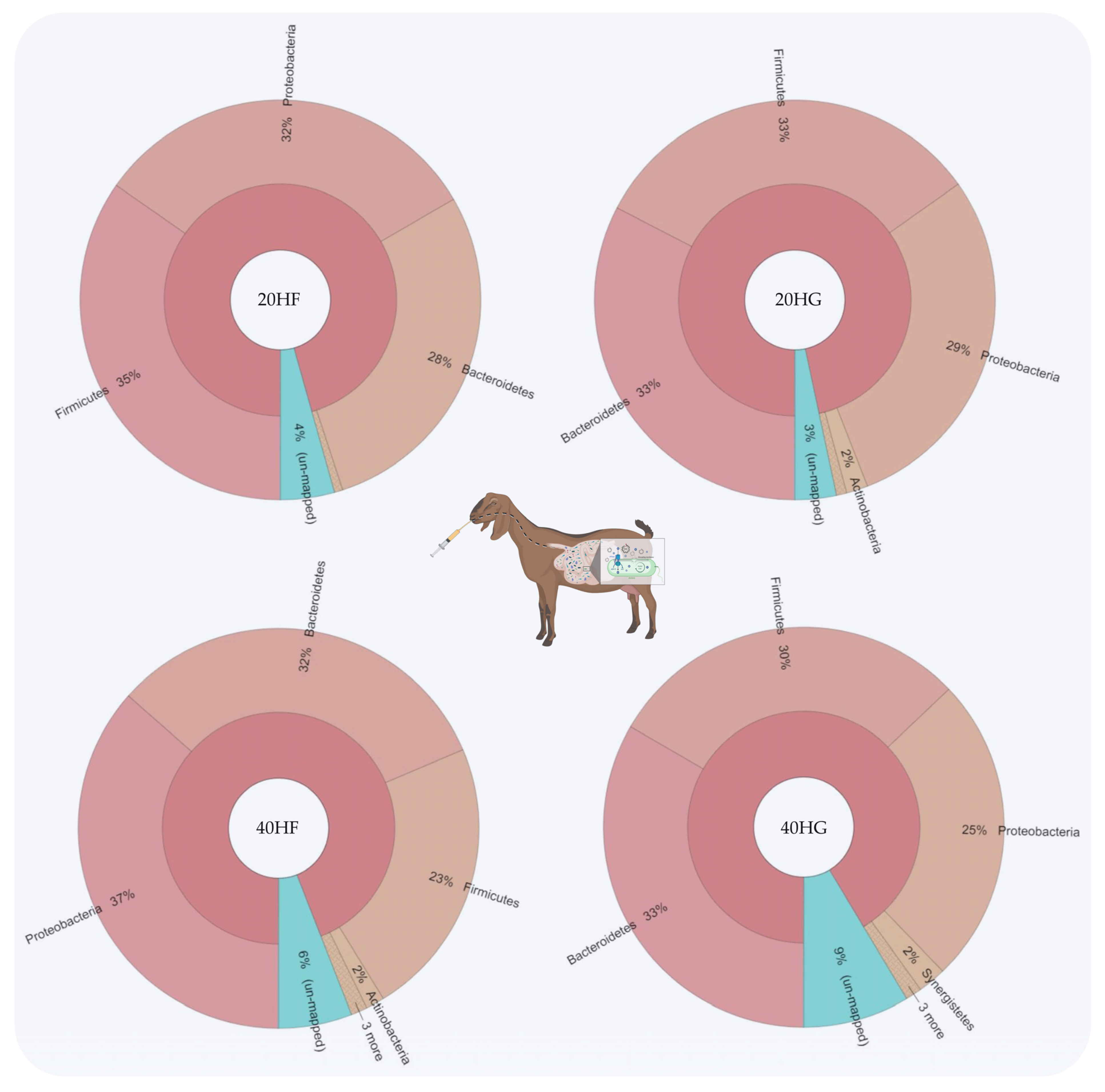 Animals 11 02746 g001