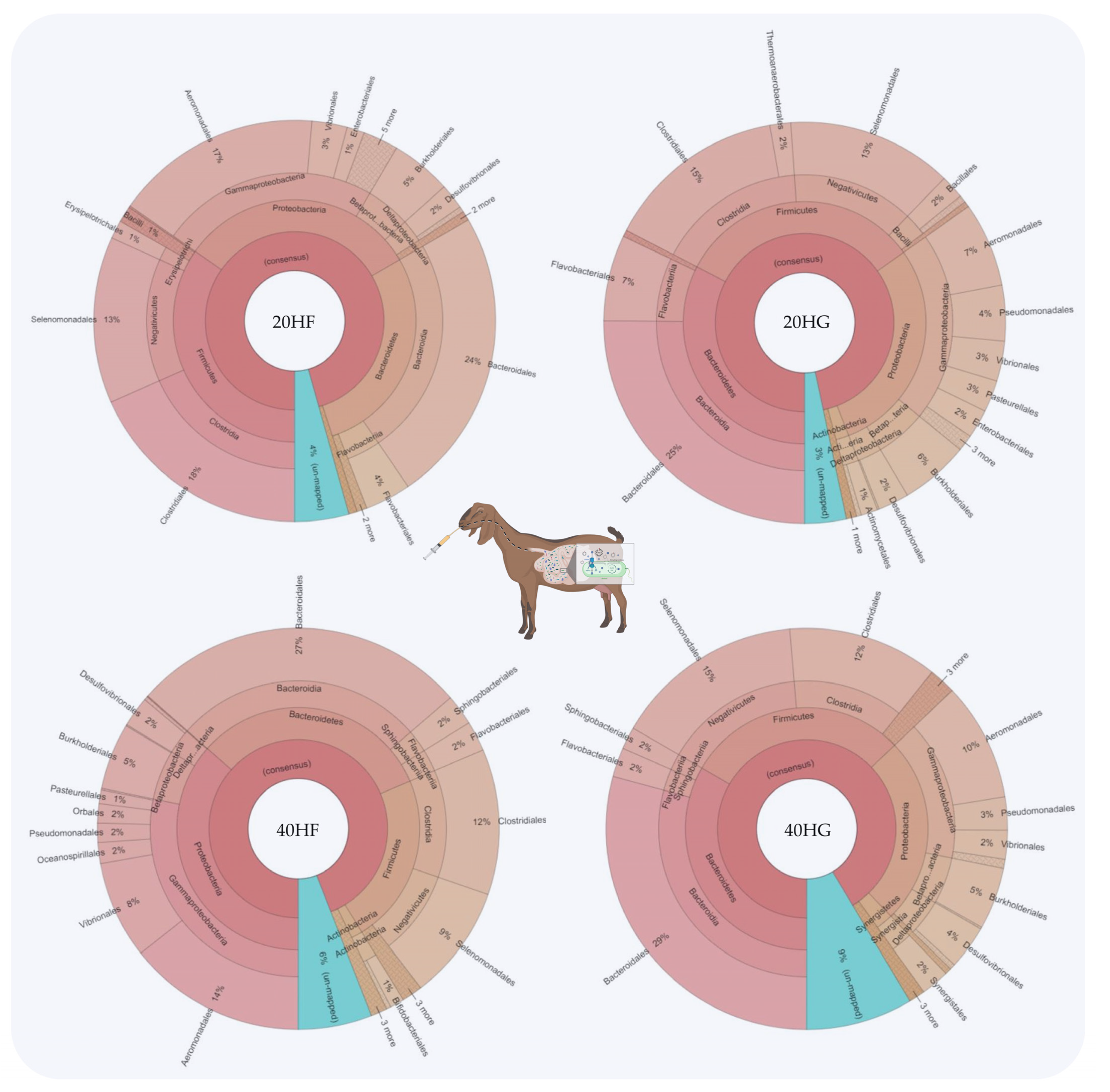 Animals 11 02746 g002