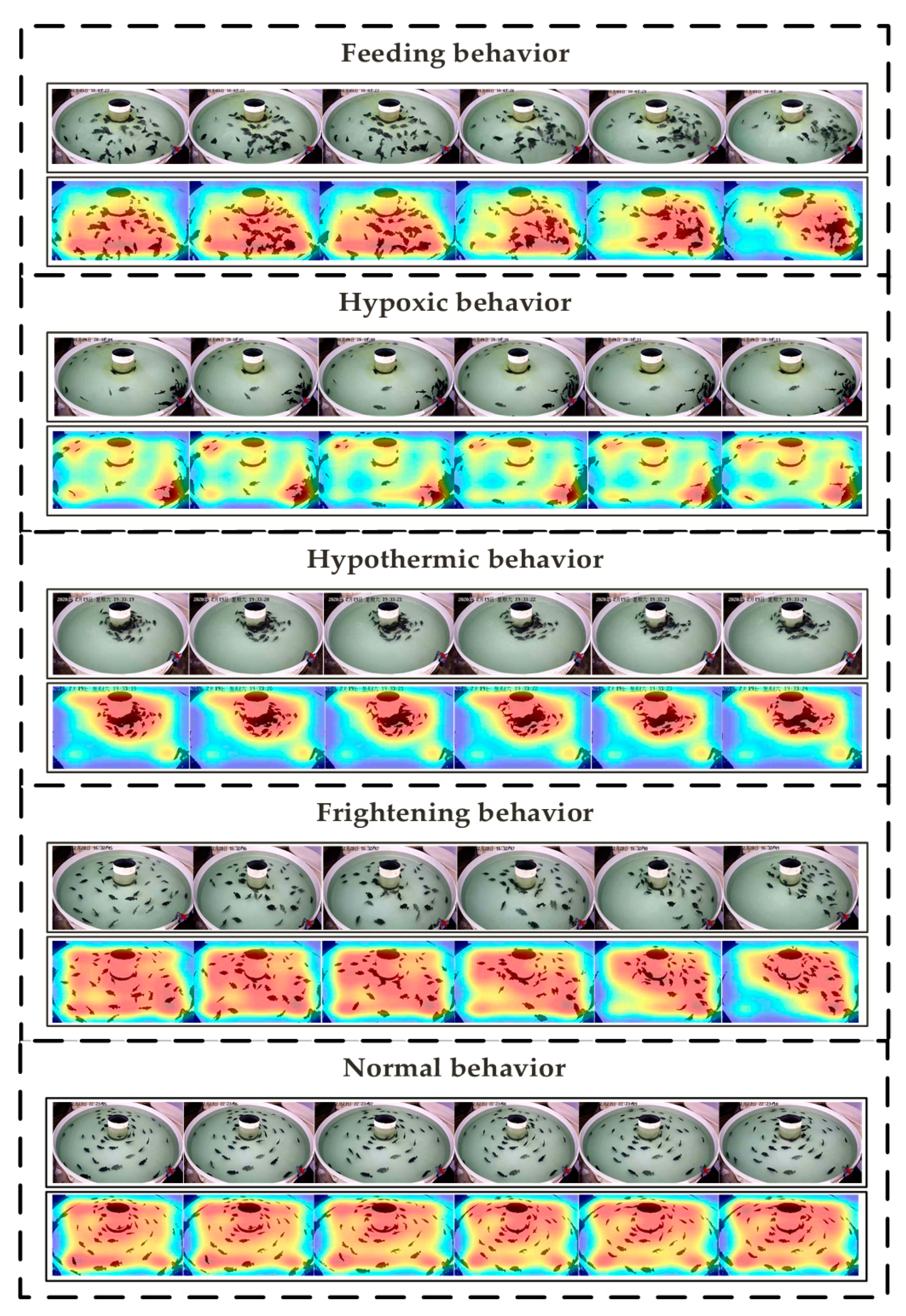 Animals 11 02774 g009