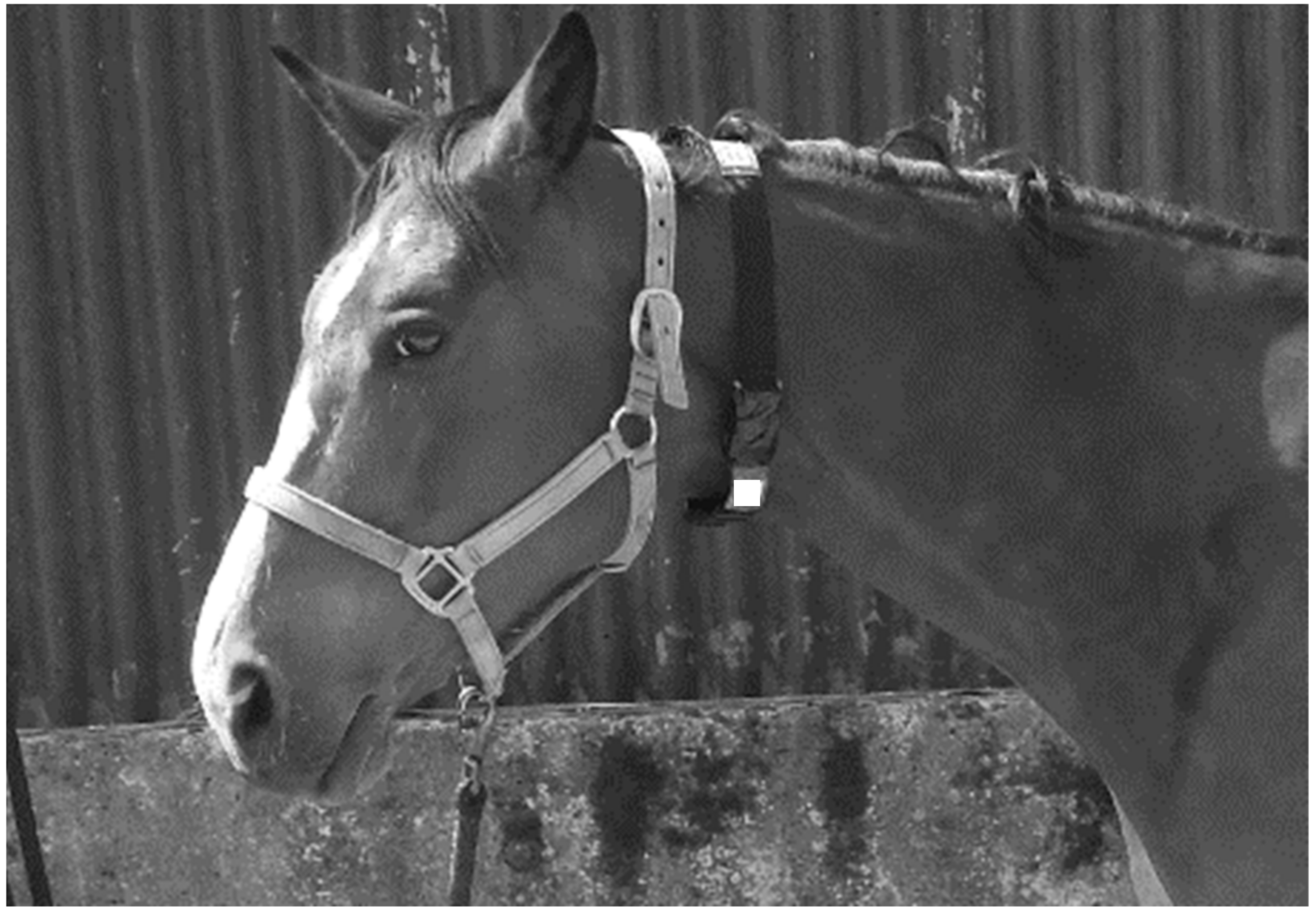 Animals 11 02777 g002 Animals 11 02777 g002