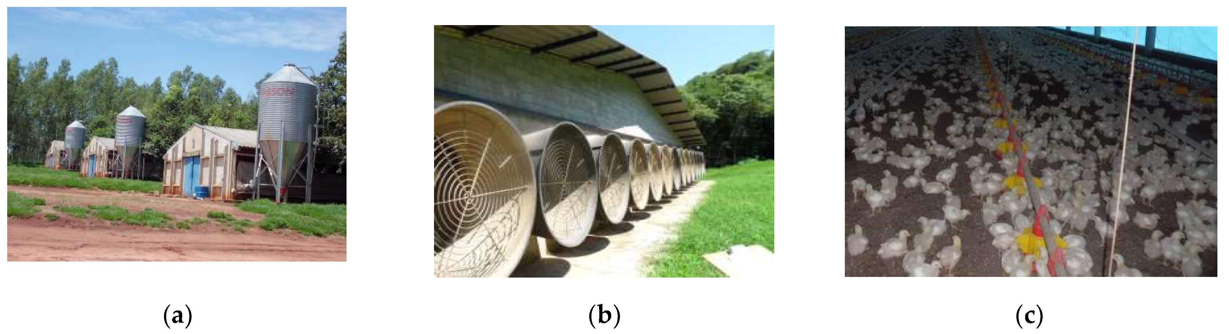 Animals 11 02780 g001 Animals 11 02780 g001