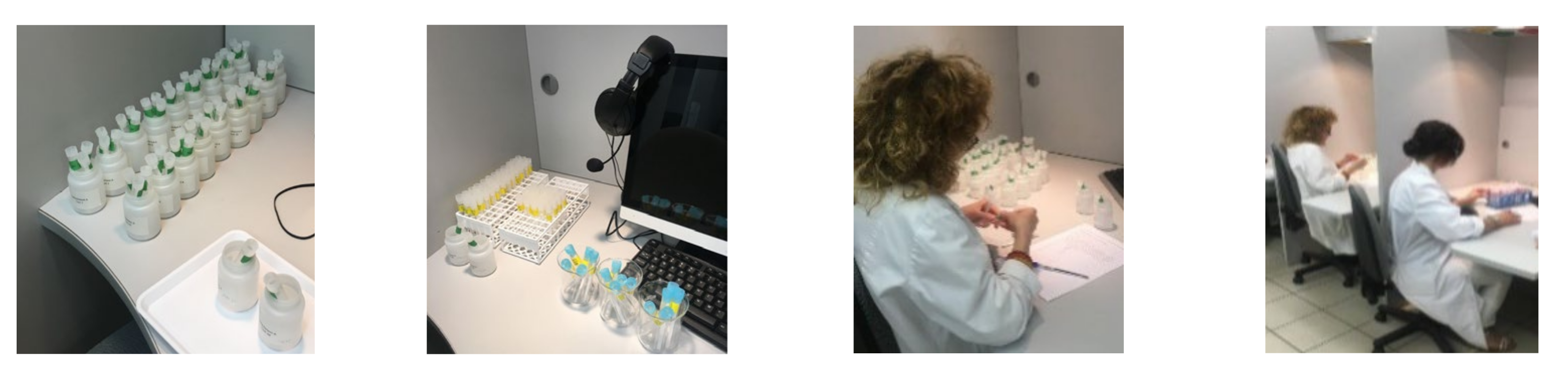 Animals 11 02786 g001