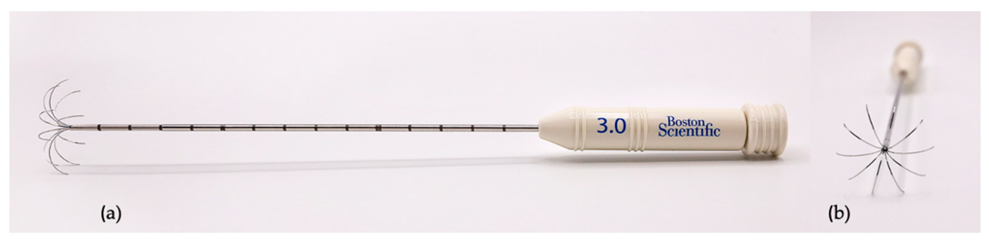 Animals 11 02790 g001