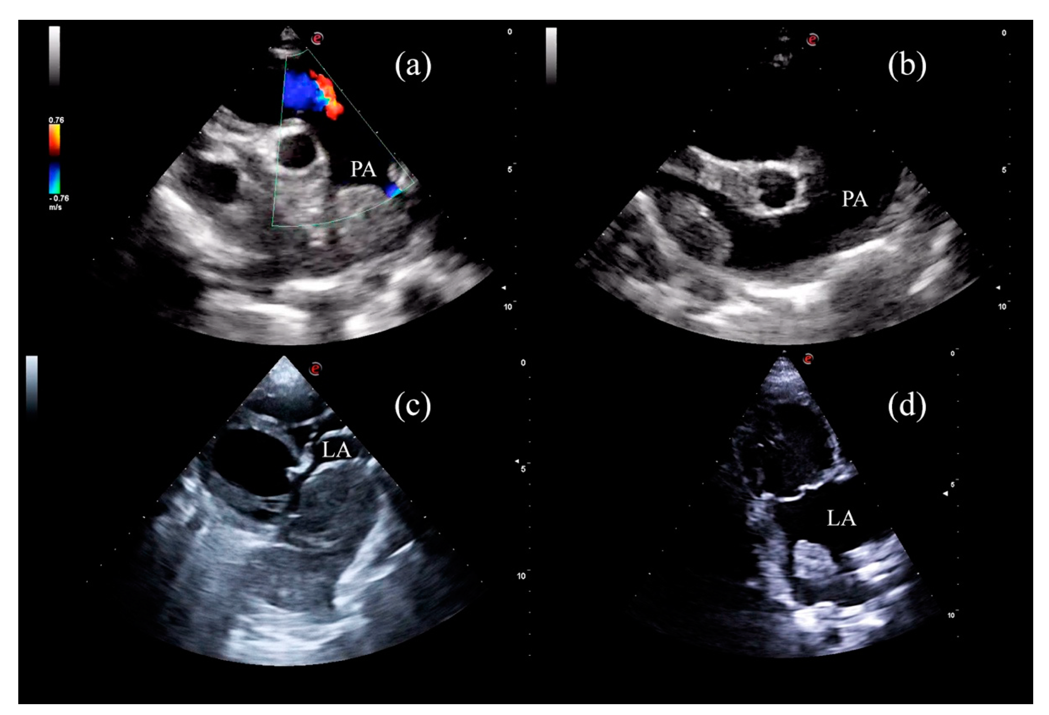 Animals 11 02790 g004