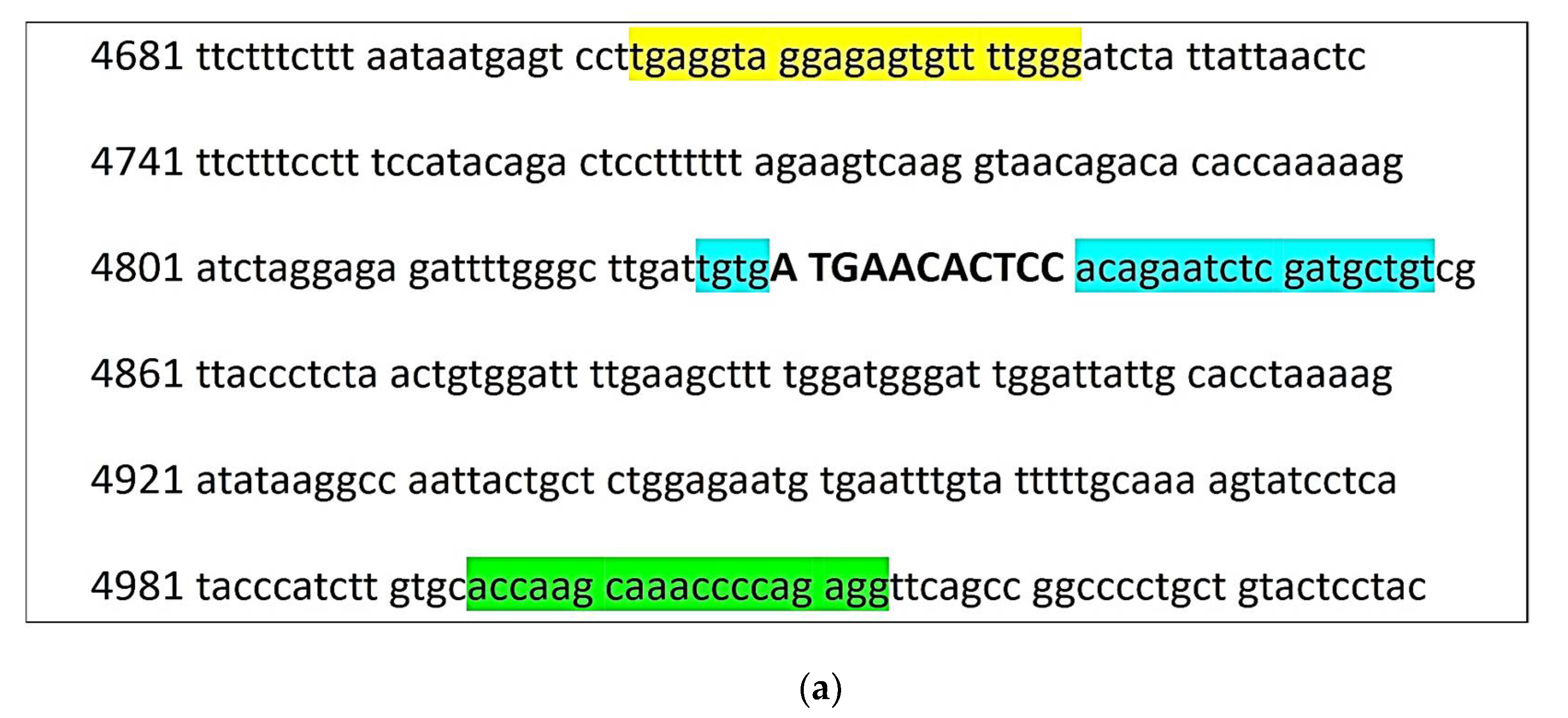 Animals 11 02810 g001a