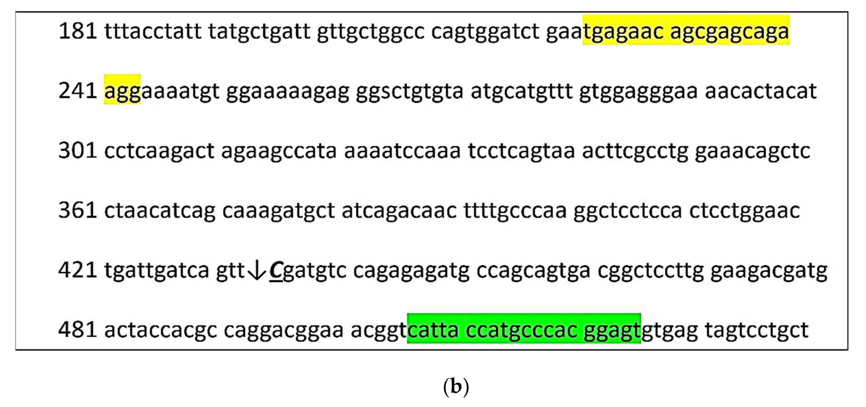 Animals 11 02810 g001b