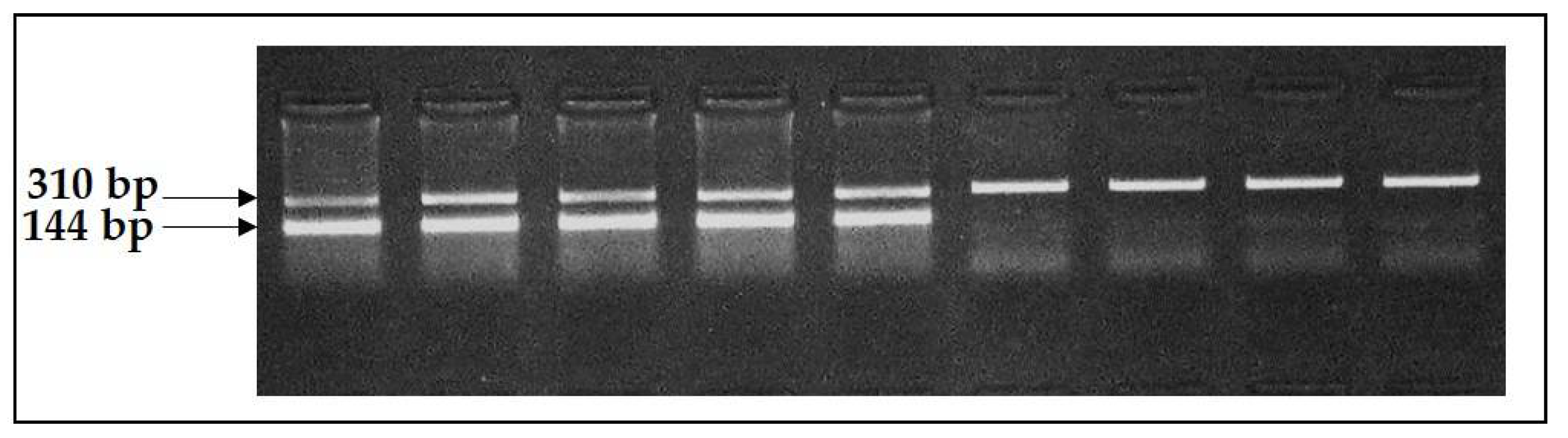 Animals 11 02810 g002