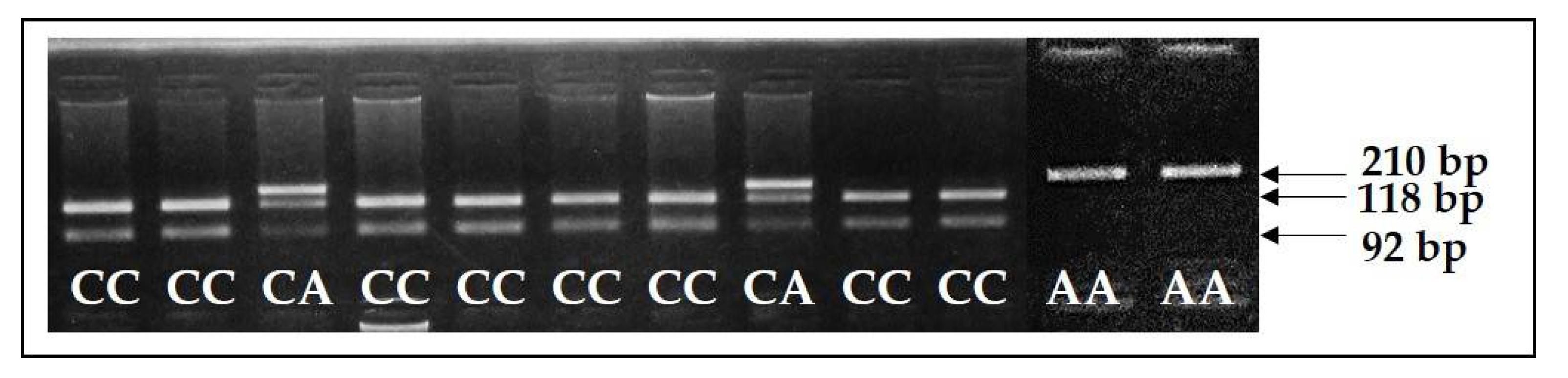 Animals 11 02810 g003