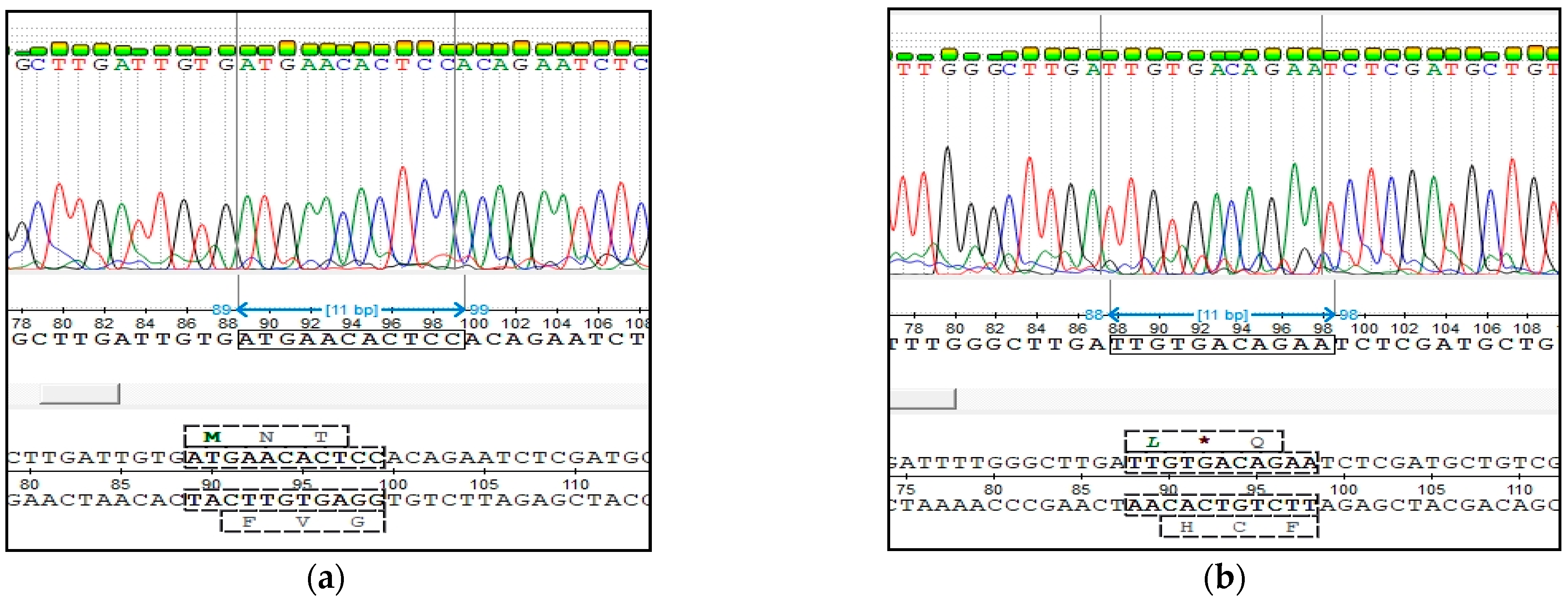 Animals 11 02810 g004