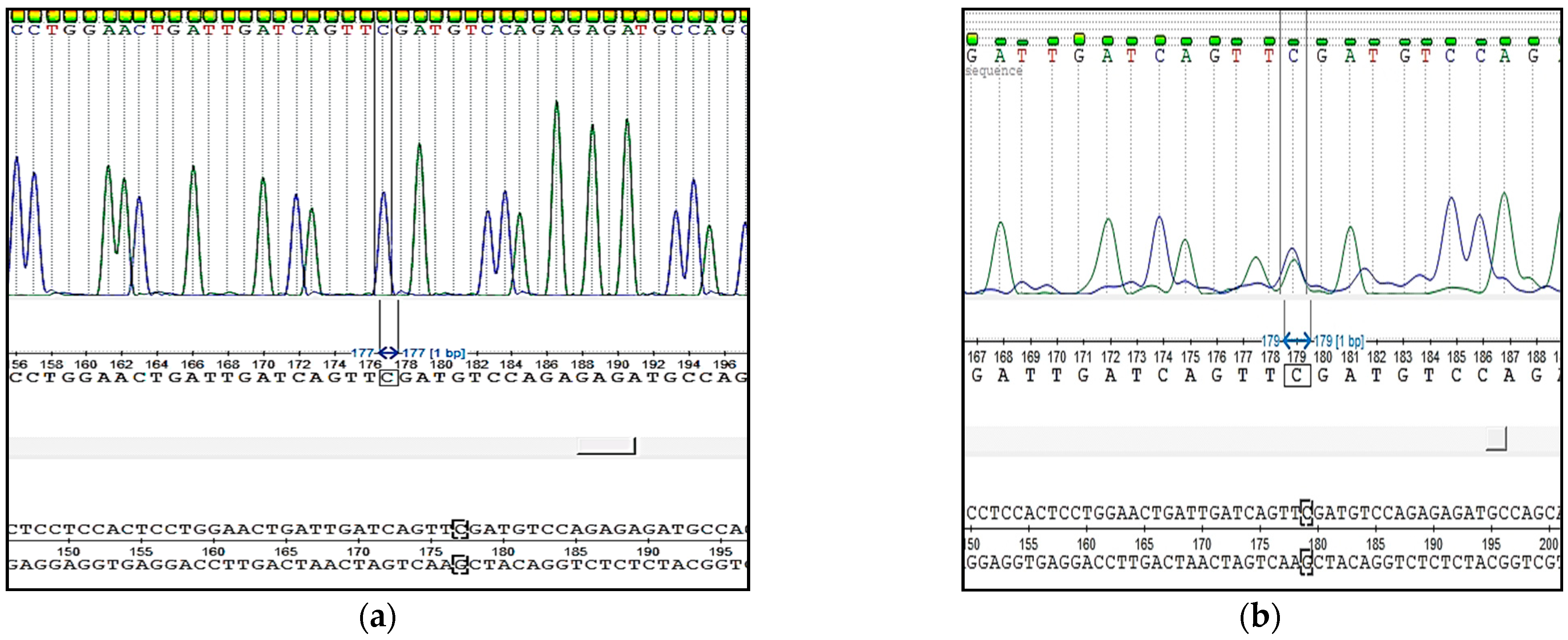 Animals 11 02810 g005