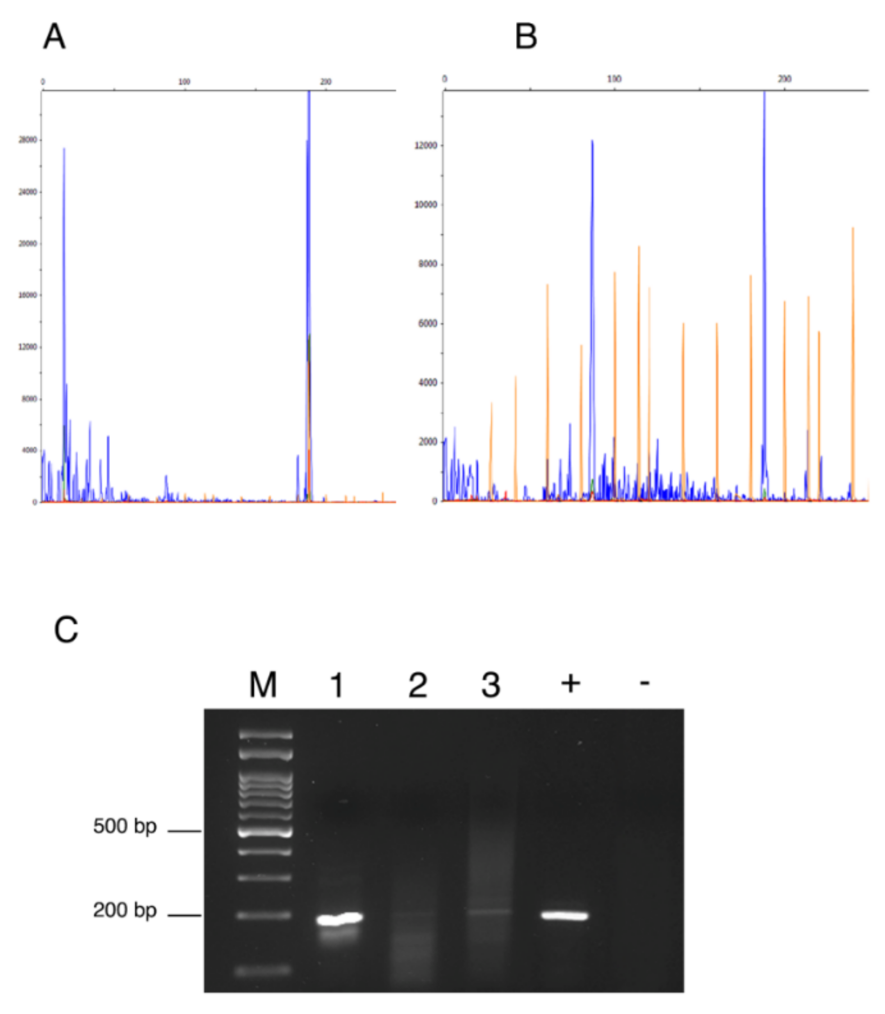 Animals 11 02821 g001