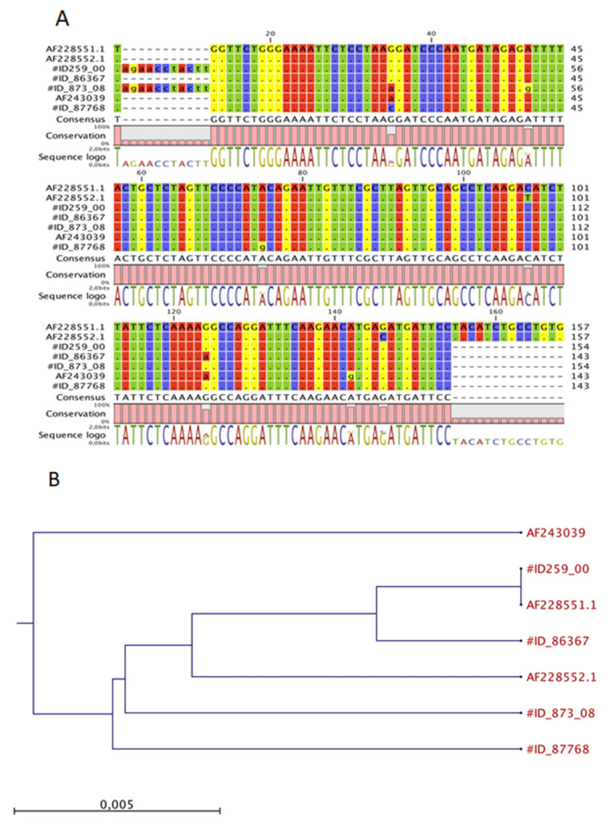 Animals 11 02821 g003