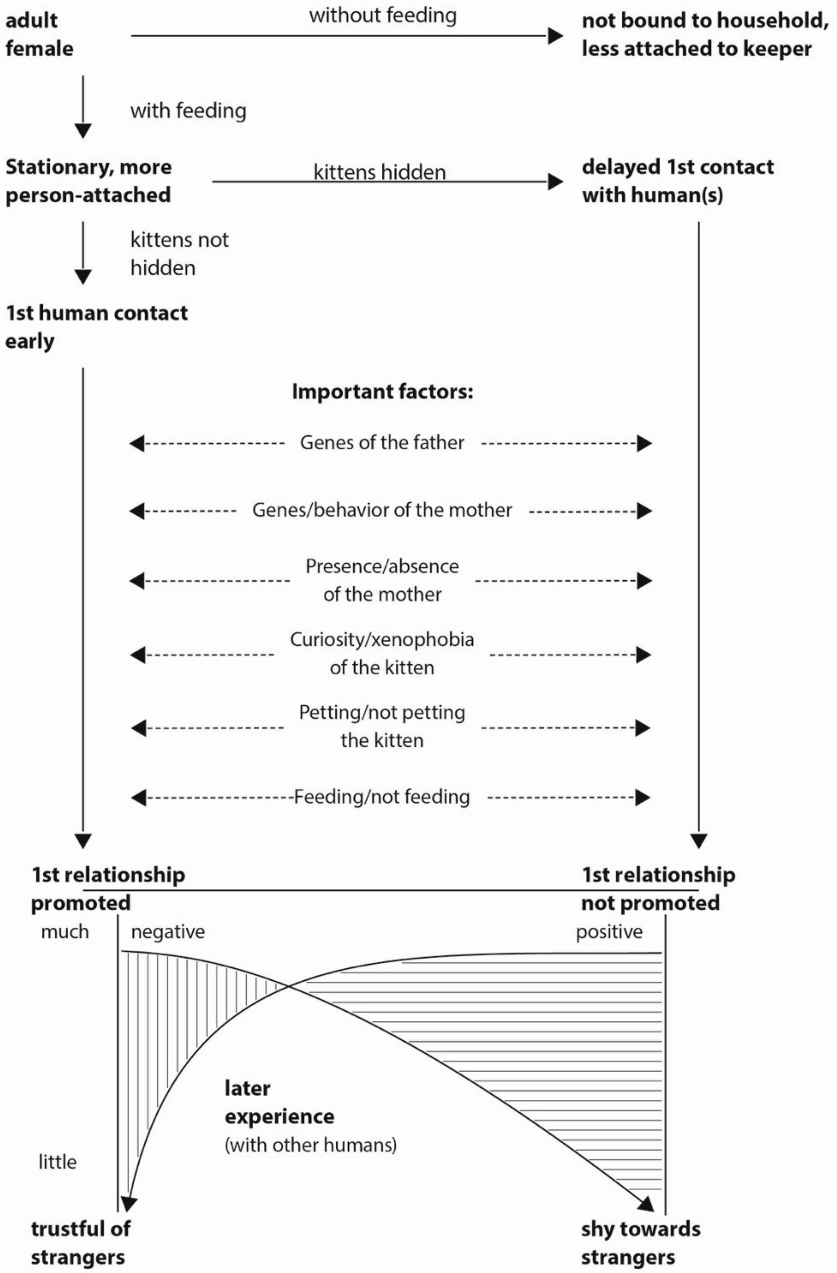 Animals 11 02823 g001