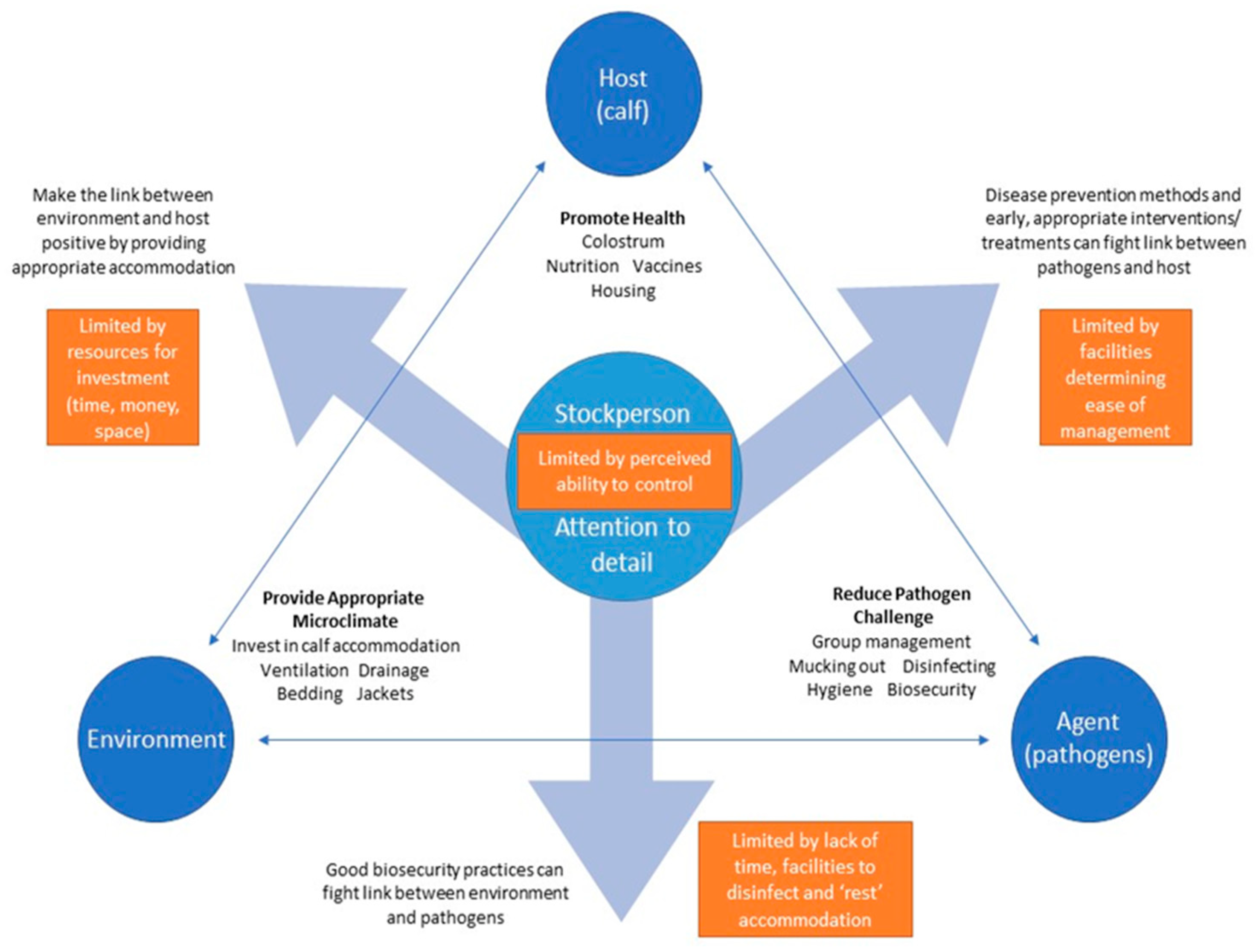 Animals 11 02829 g001