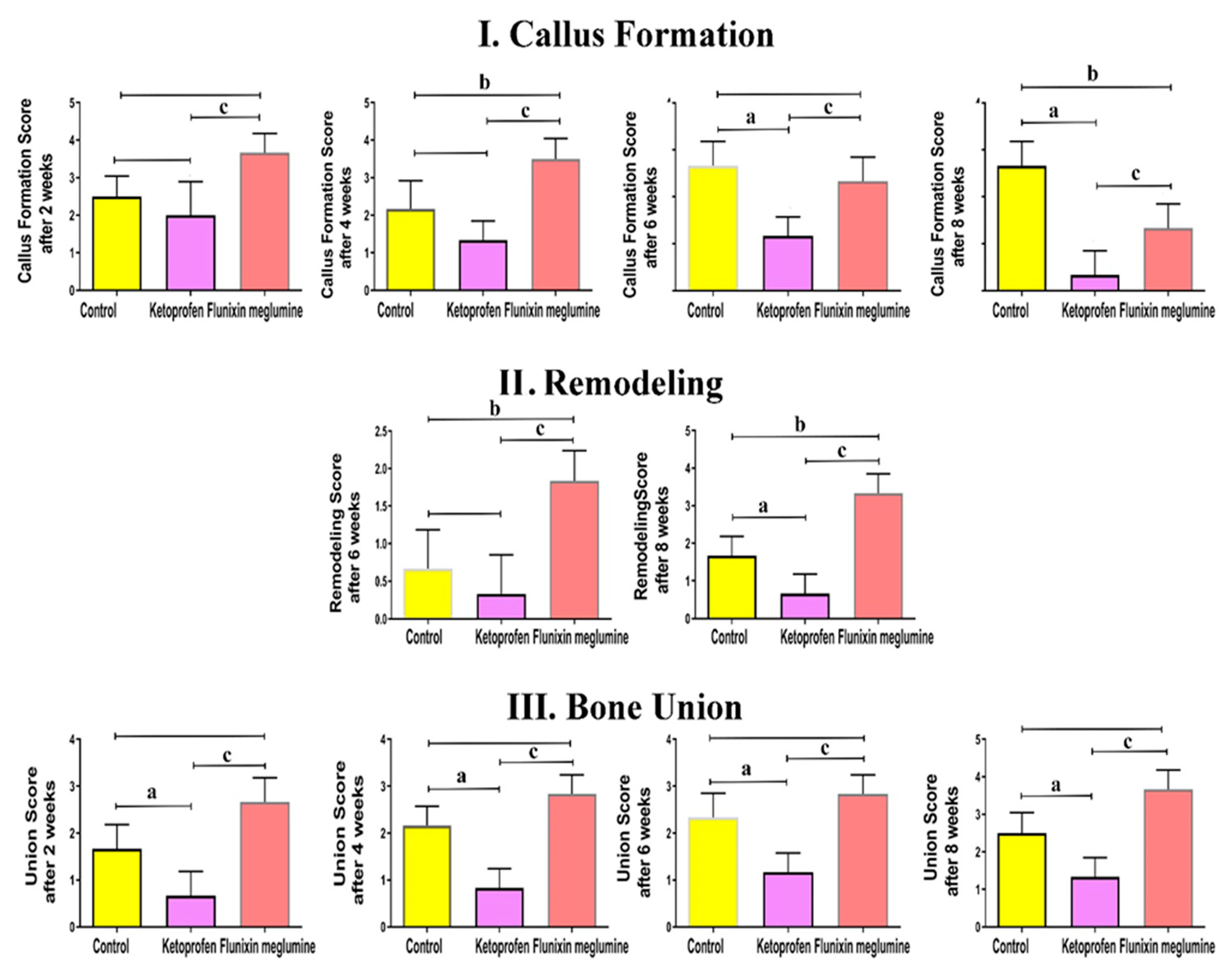 Animals 11 02834 g003