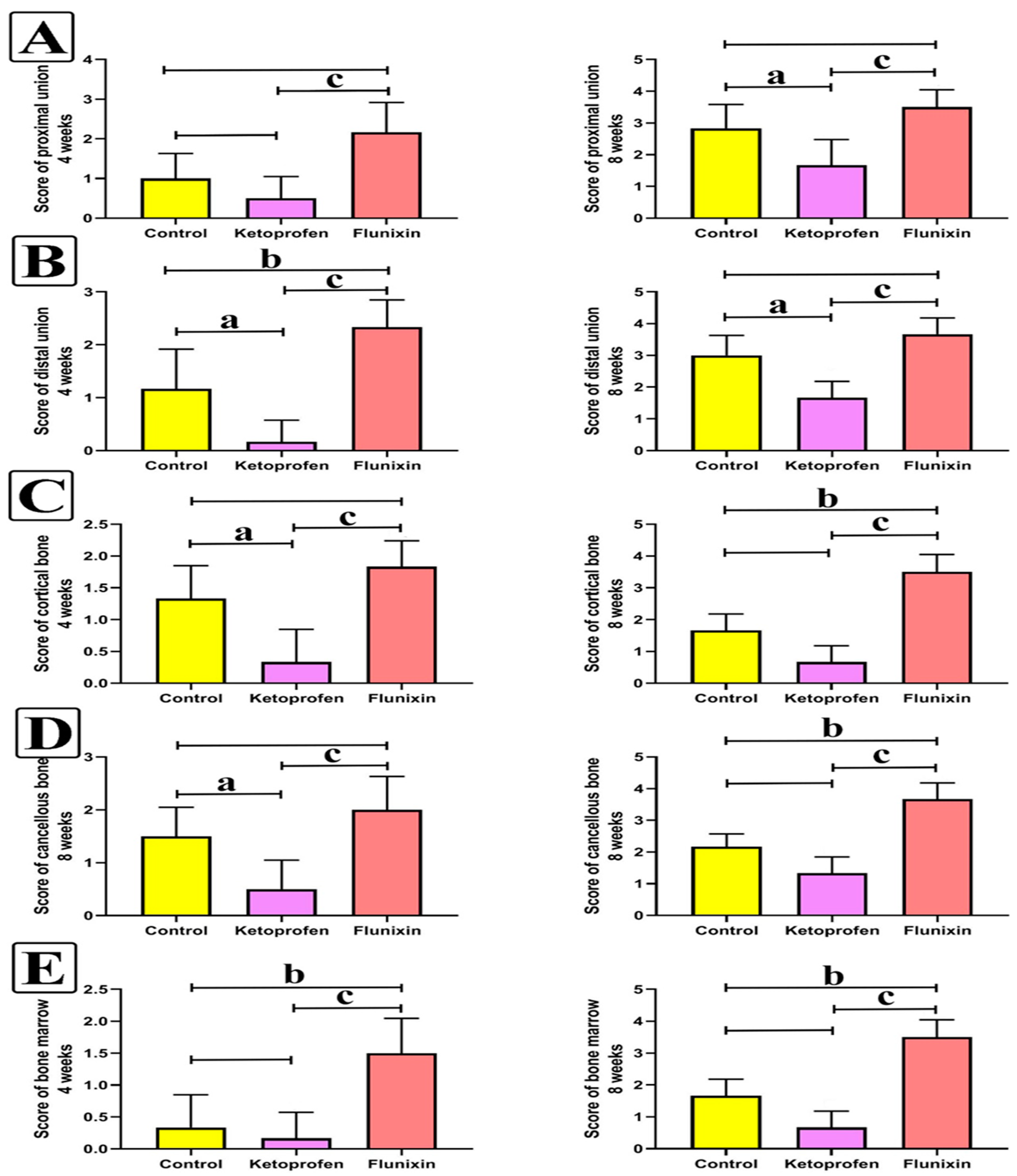 Animals 11 02834 g006