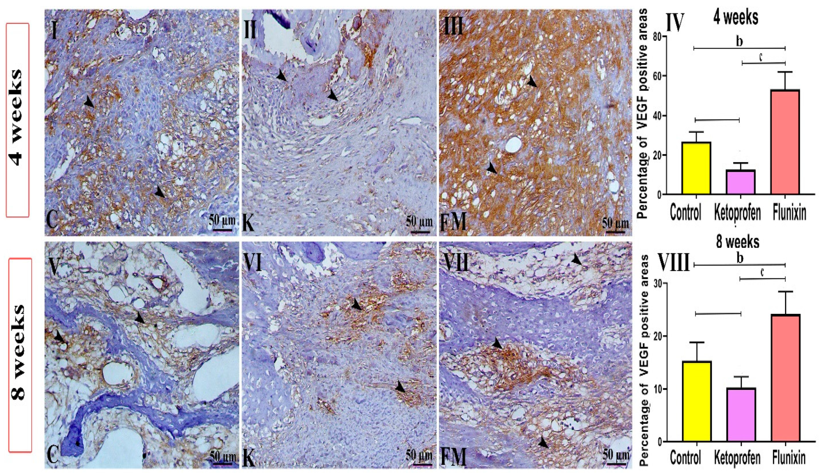 Animals 11 02834 g008