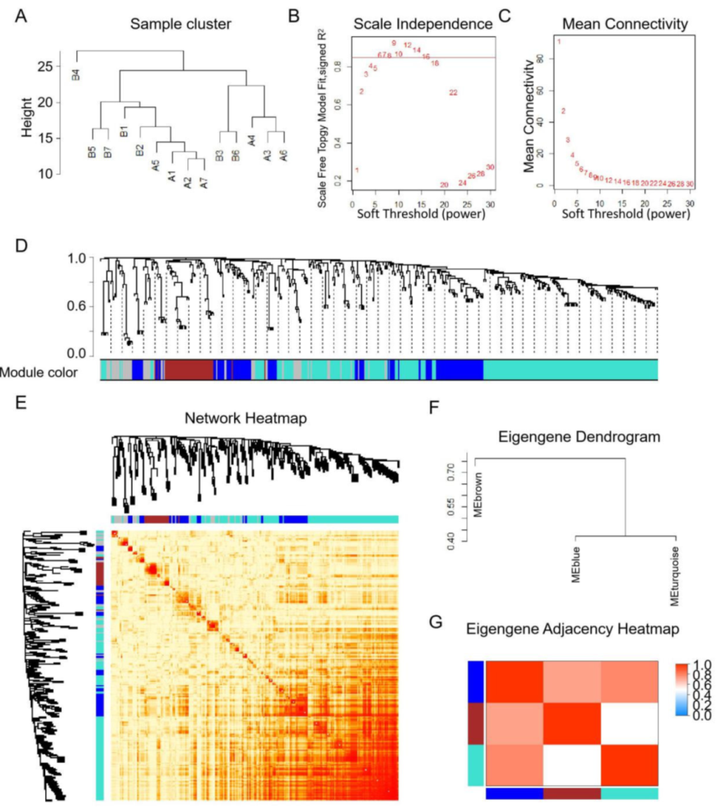 Animals 11 02850 g005