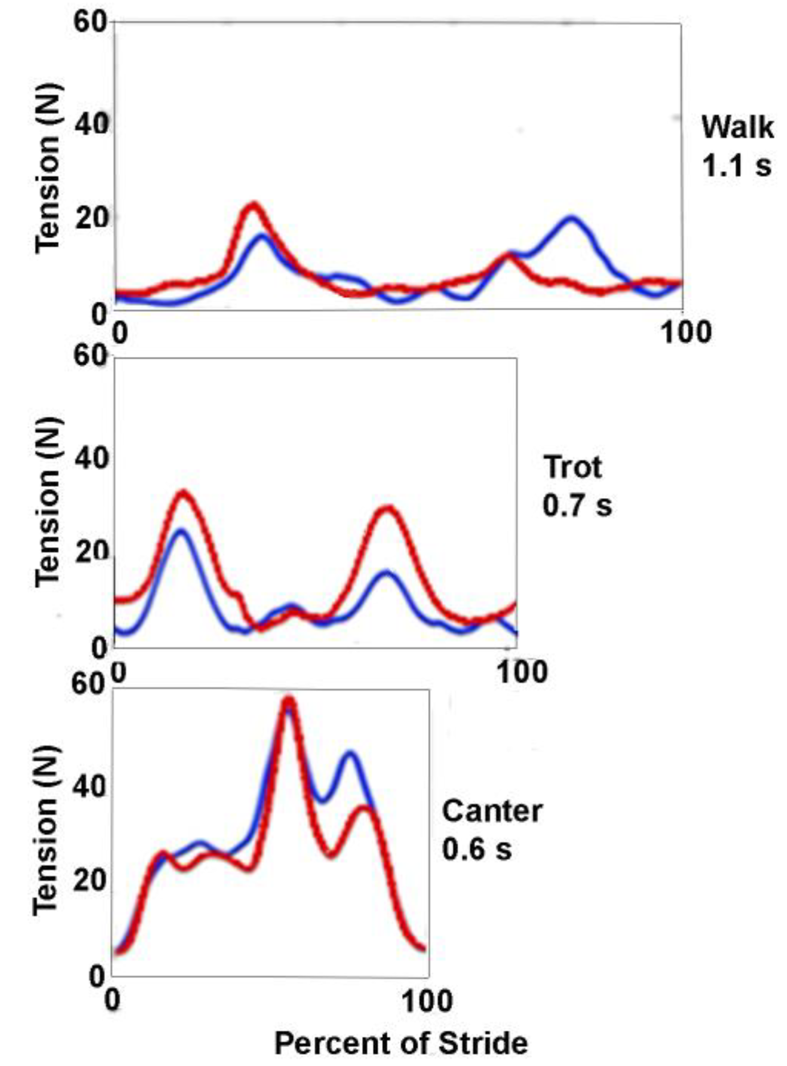 Animals 11 02875 g001